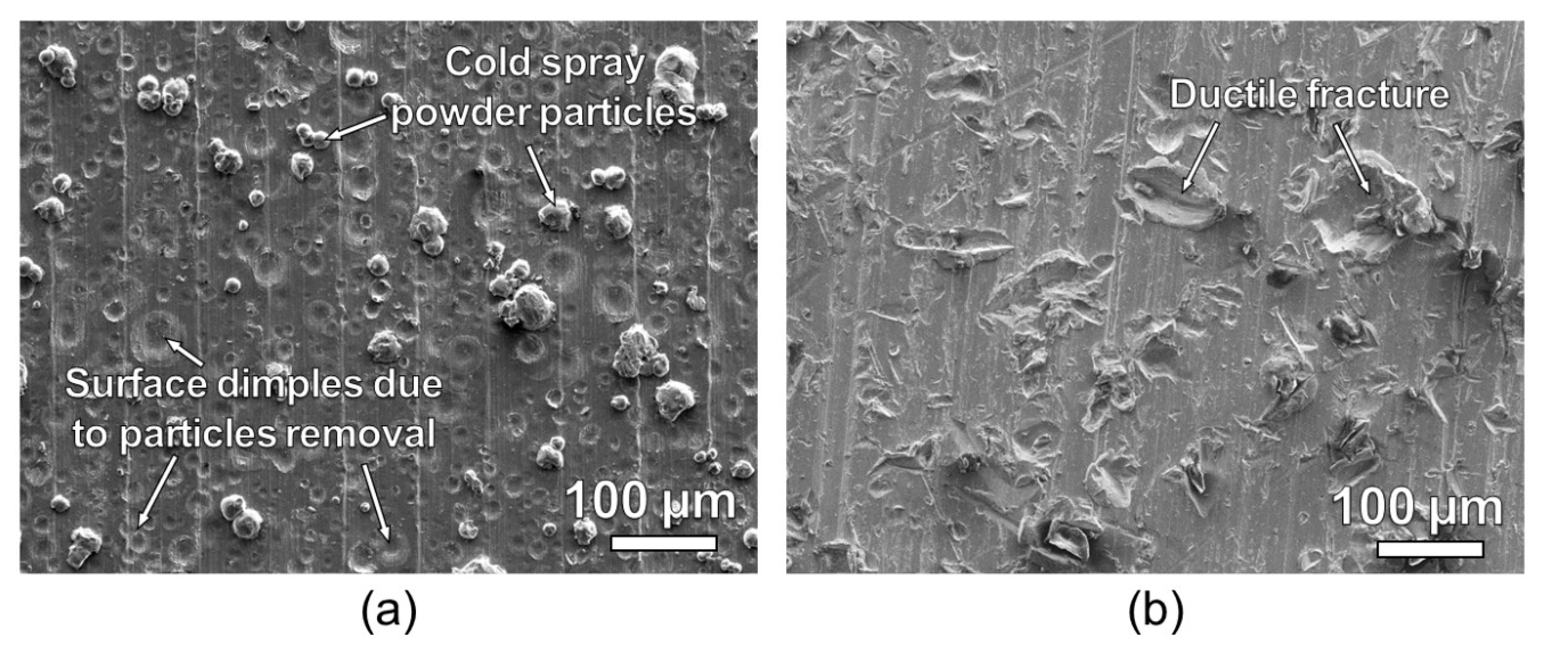 Metals 11 01038 g013