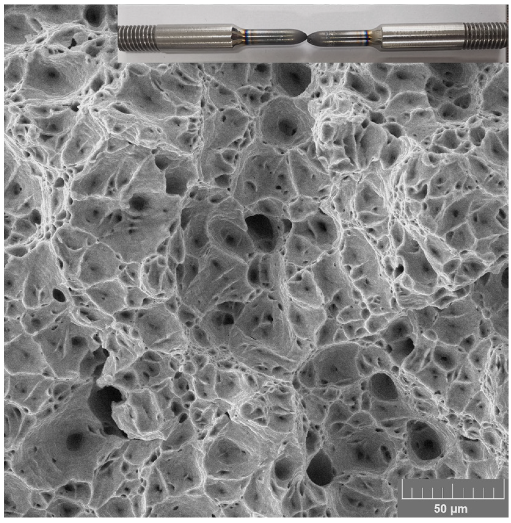 Metals 11 01045 g009