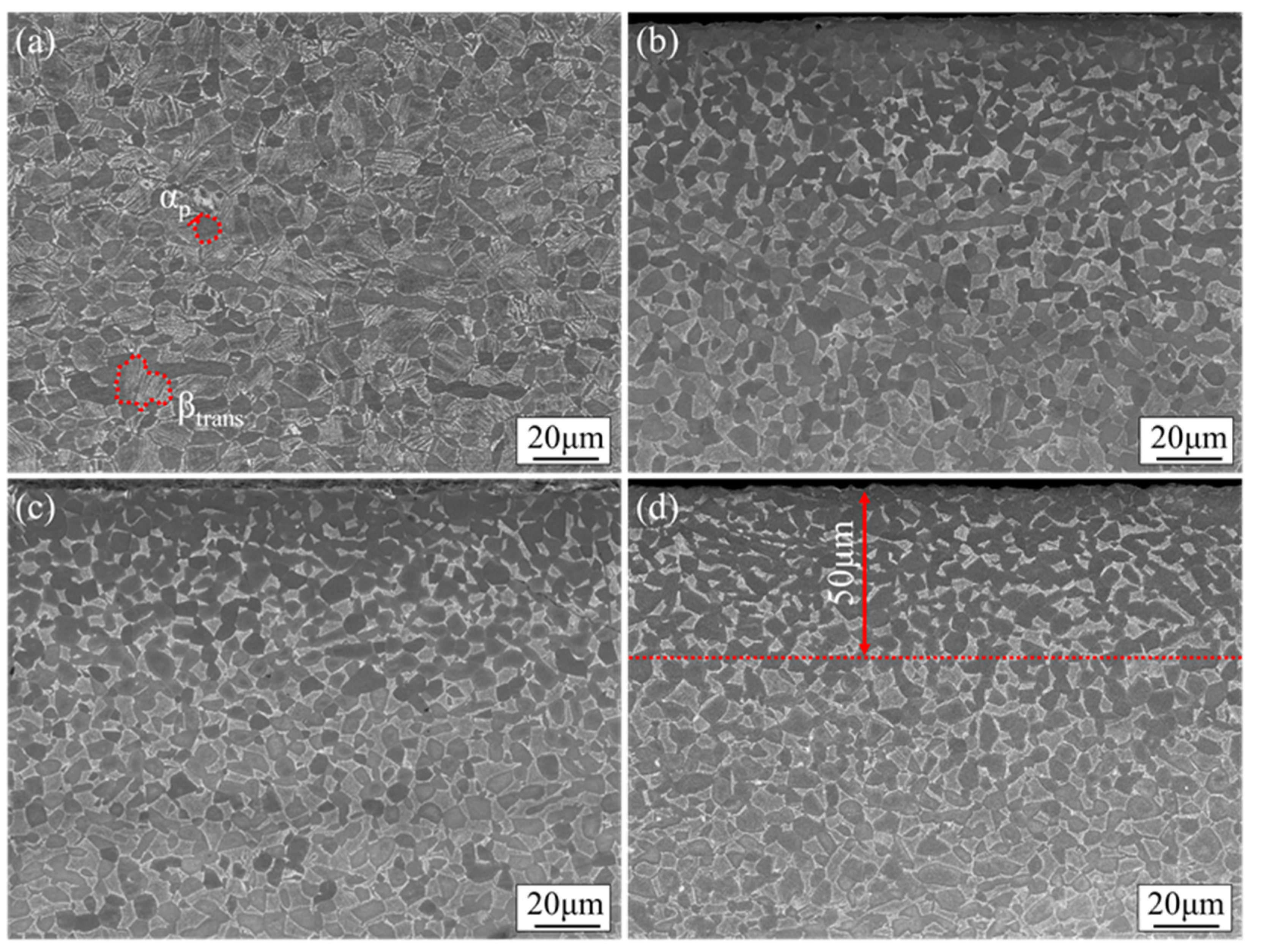 Metals 11 01057 g003