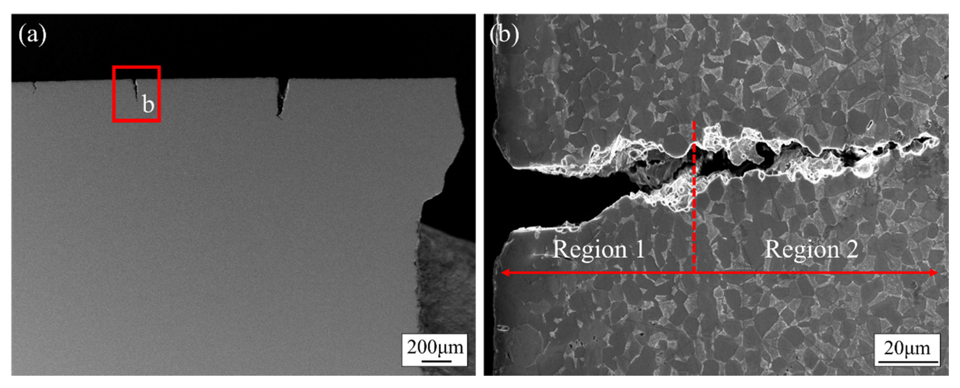 Metals 11 01057 g009