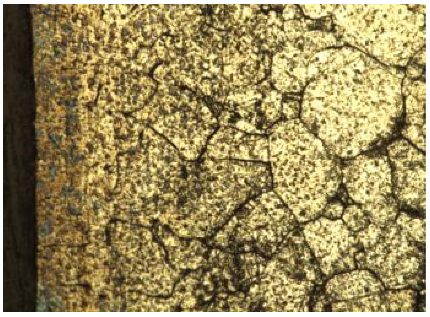 Metals 11 01066 g014 Metals 11 01066 g014