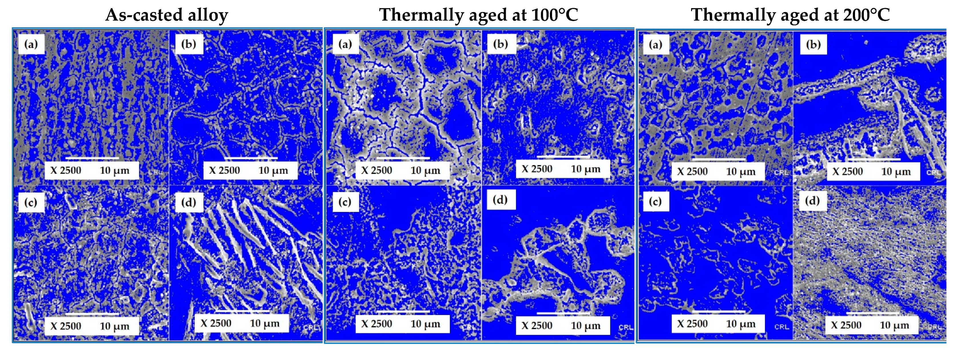 Metals 11 01077 g007