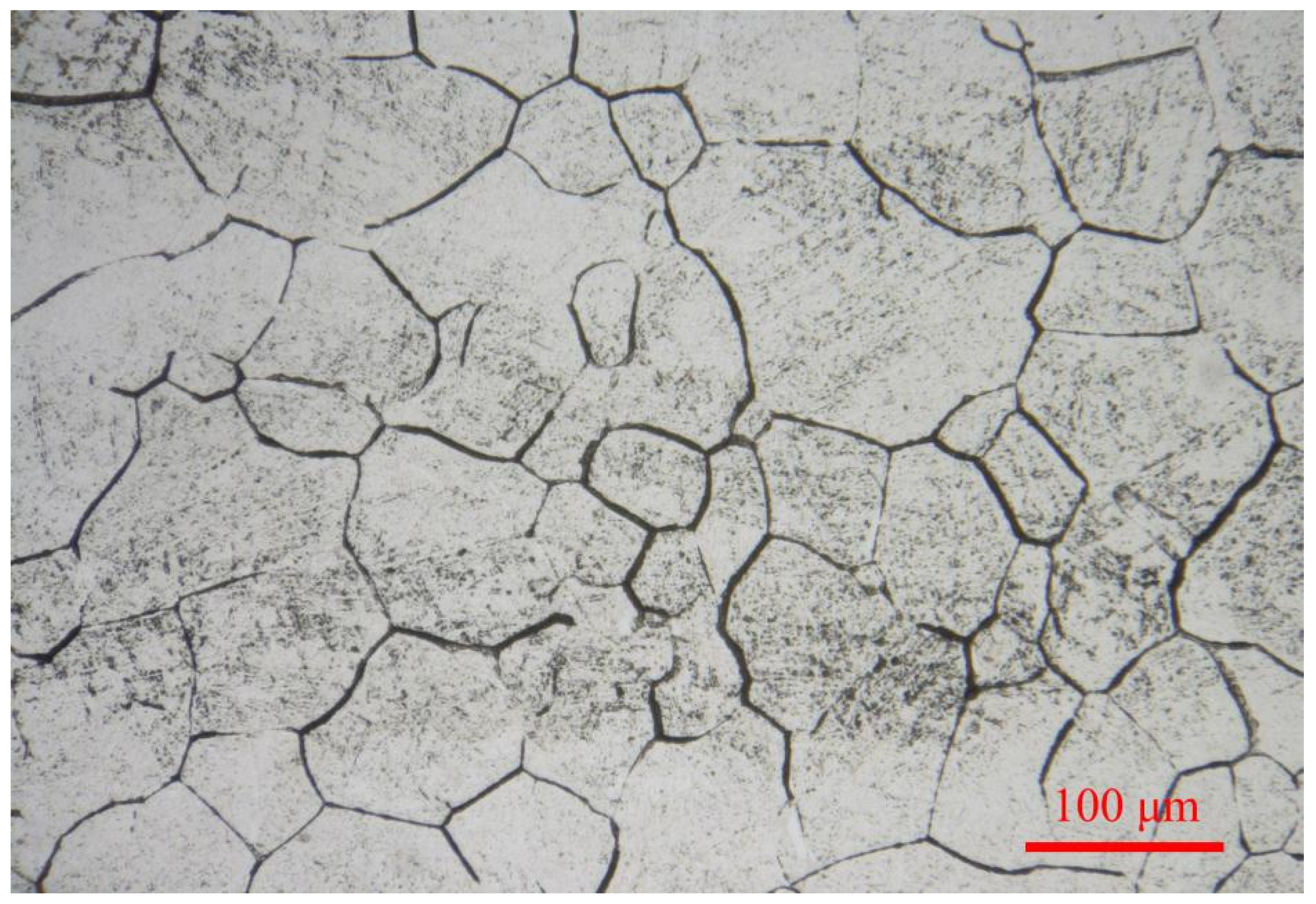 Metals 11 01086 g005