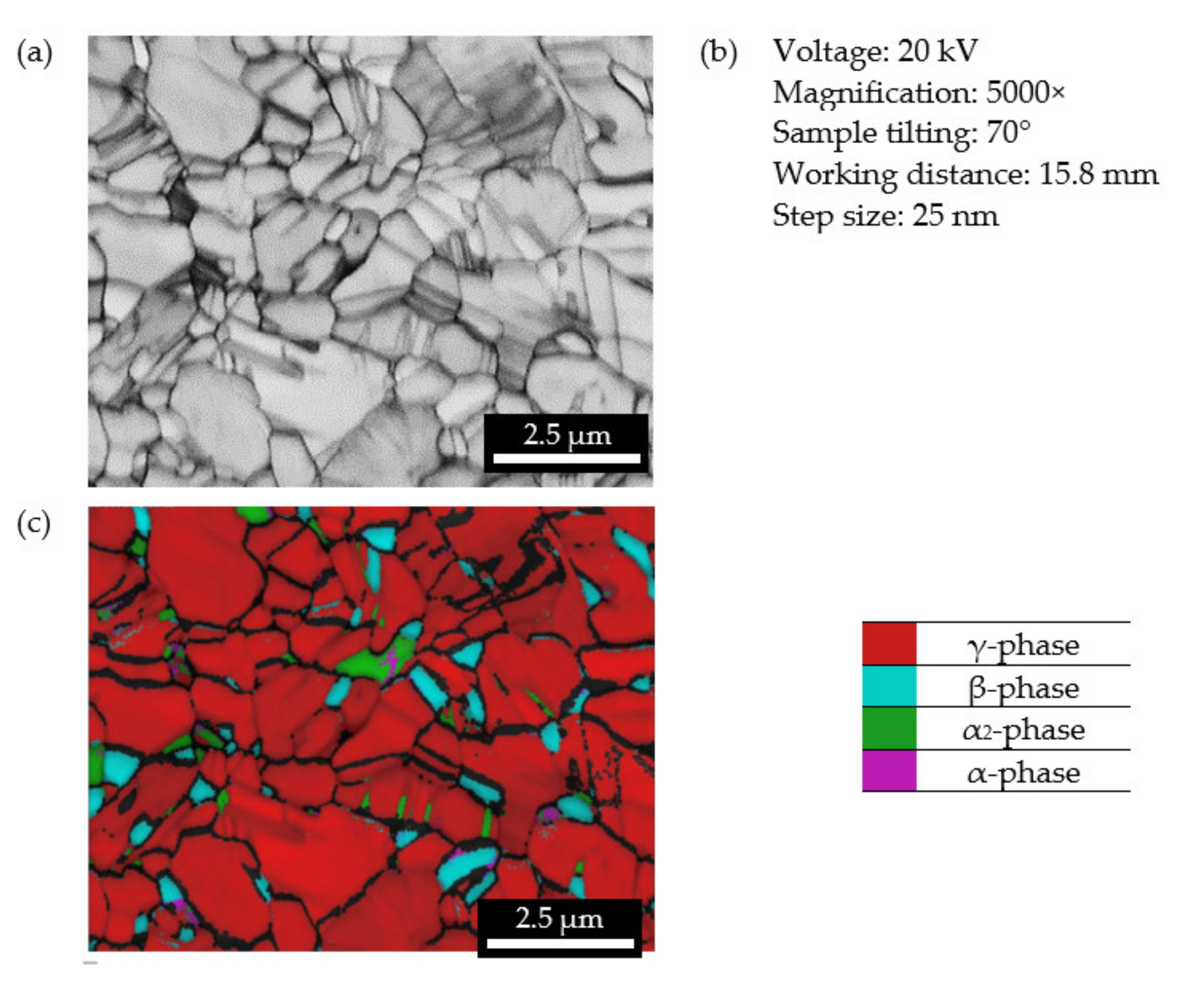 Metals 11 01093 g006
