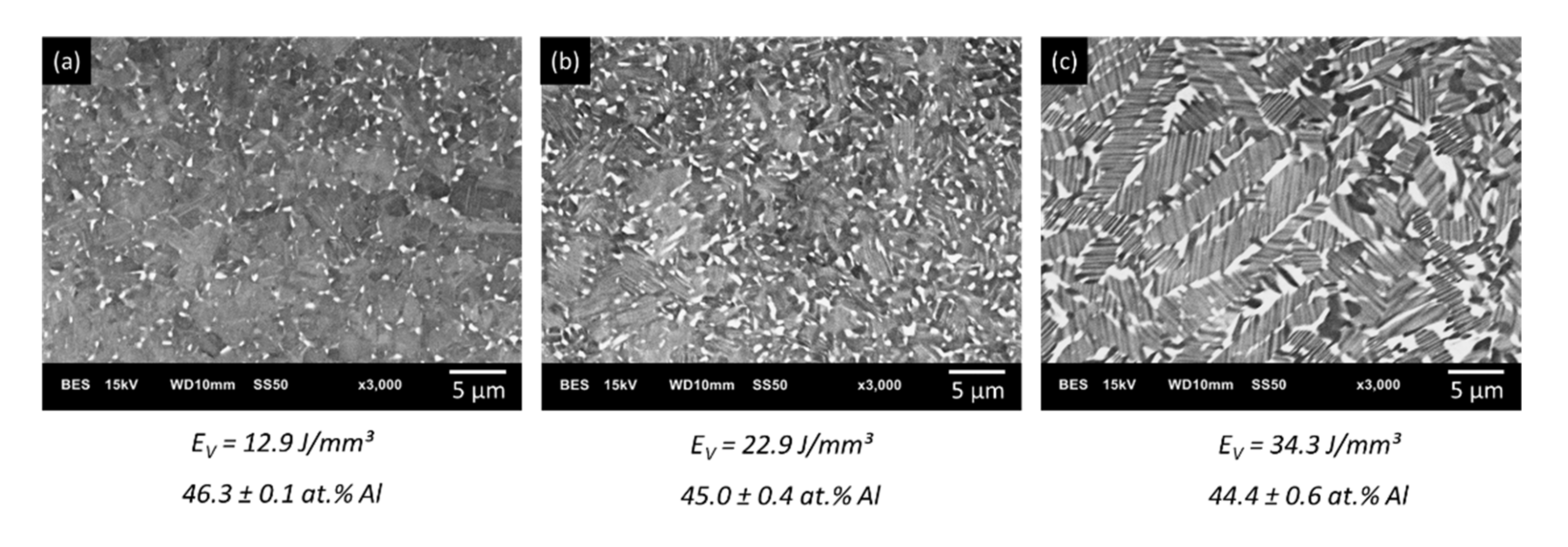 Metals 11 01093 g011