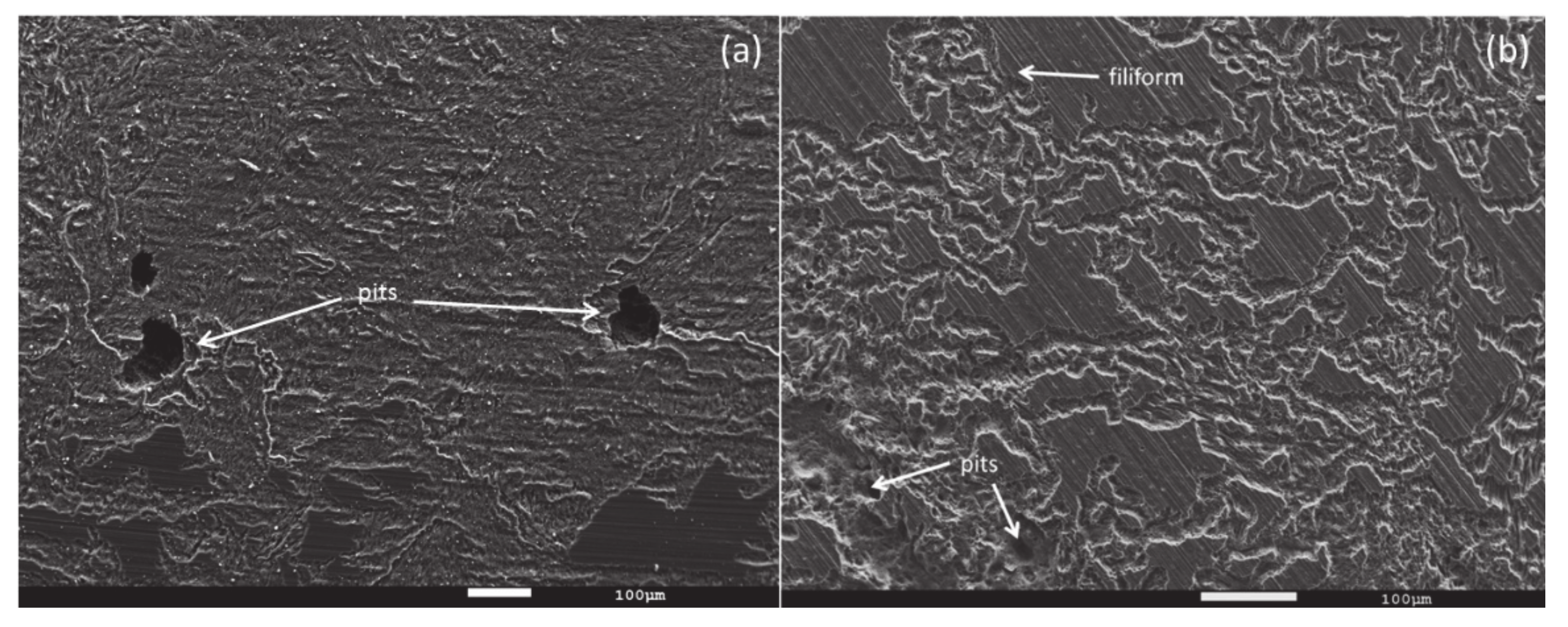 Metals 11 01095 g006