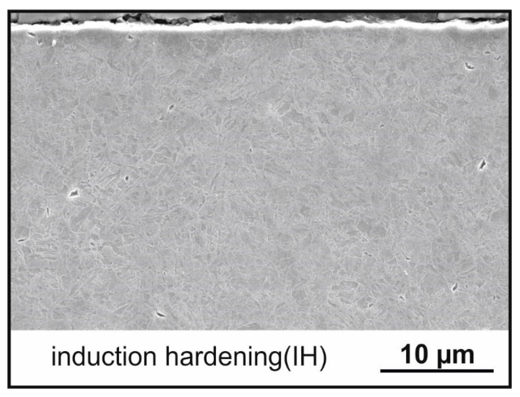 Metals 11 01102 g010