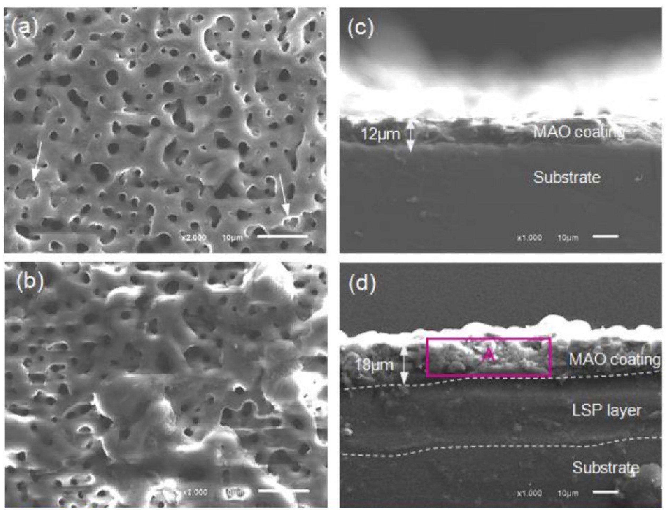Metals 11 01133 g020