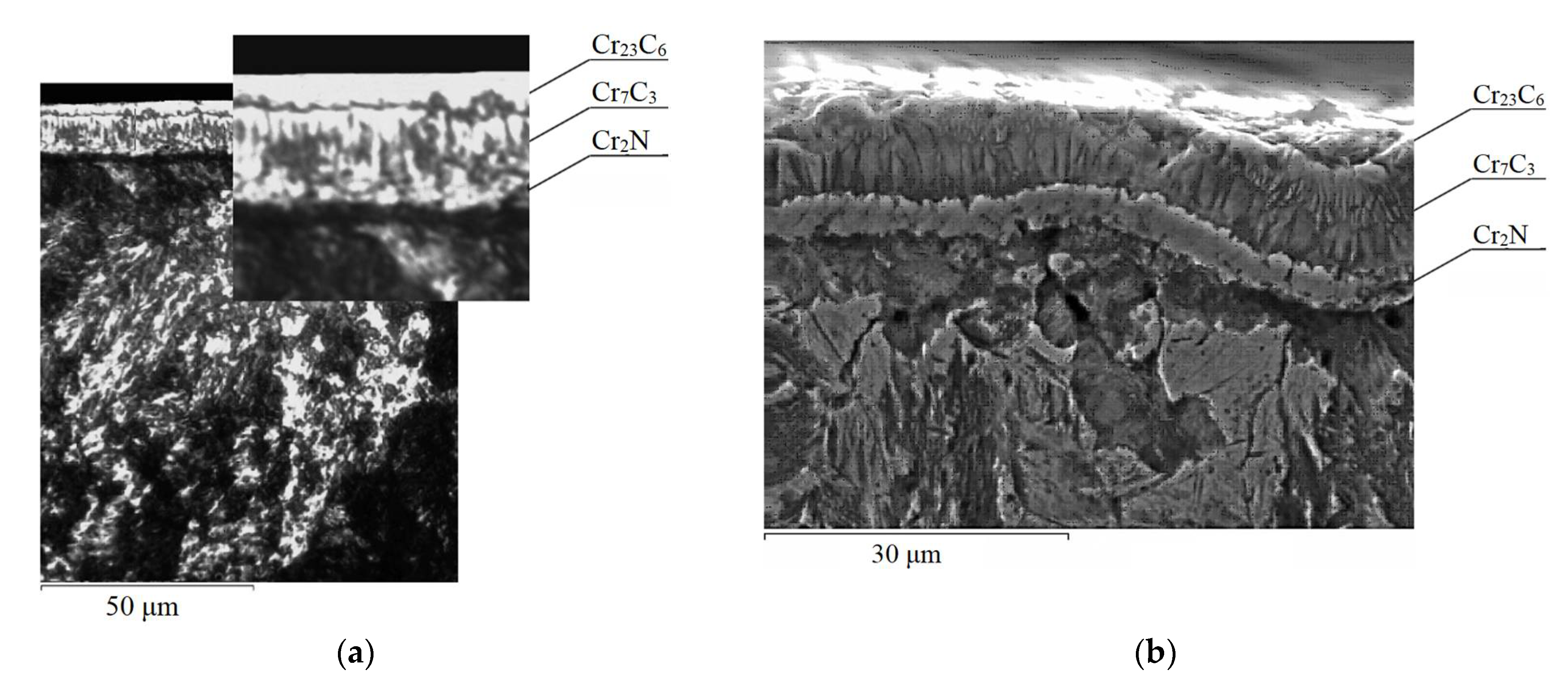 Metals 11 01153 g008