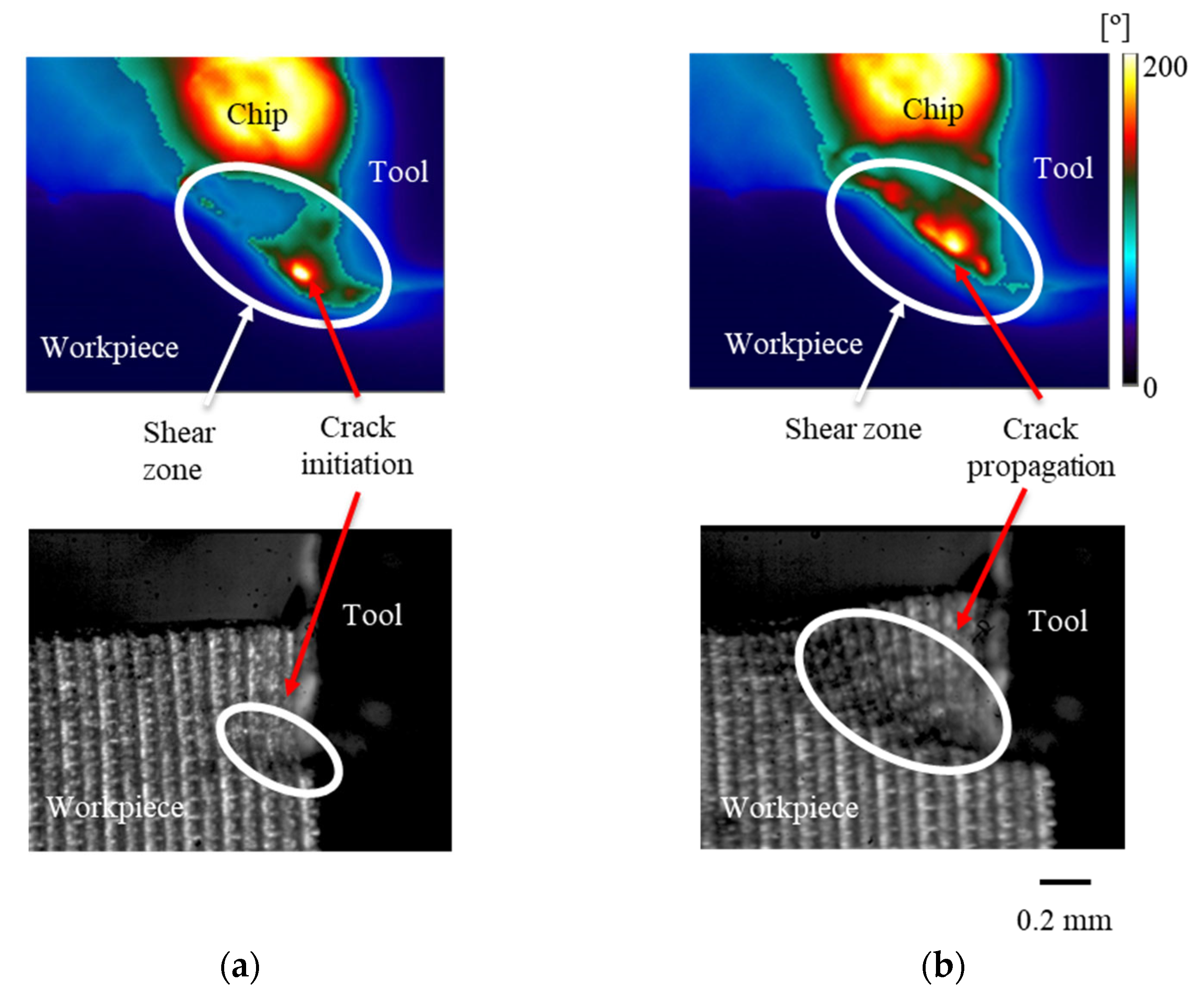 Metals 11 01154 g005