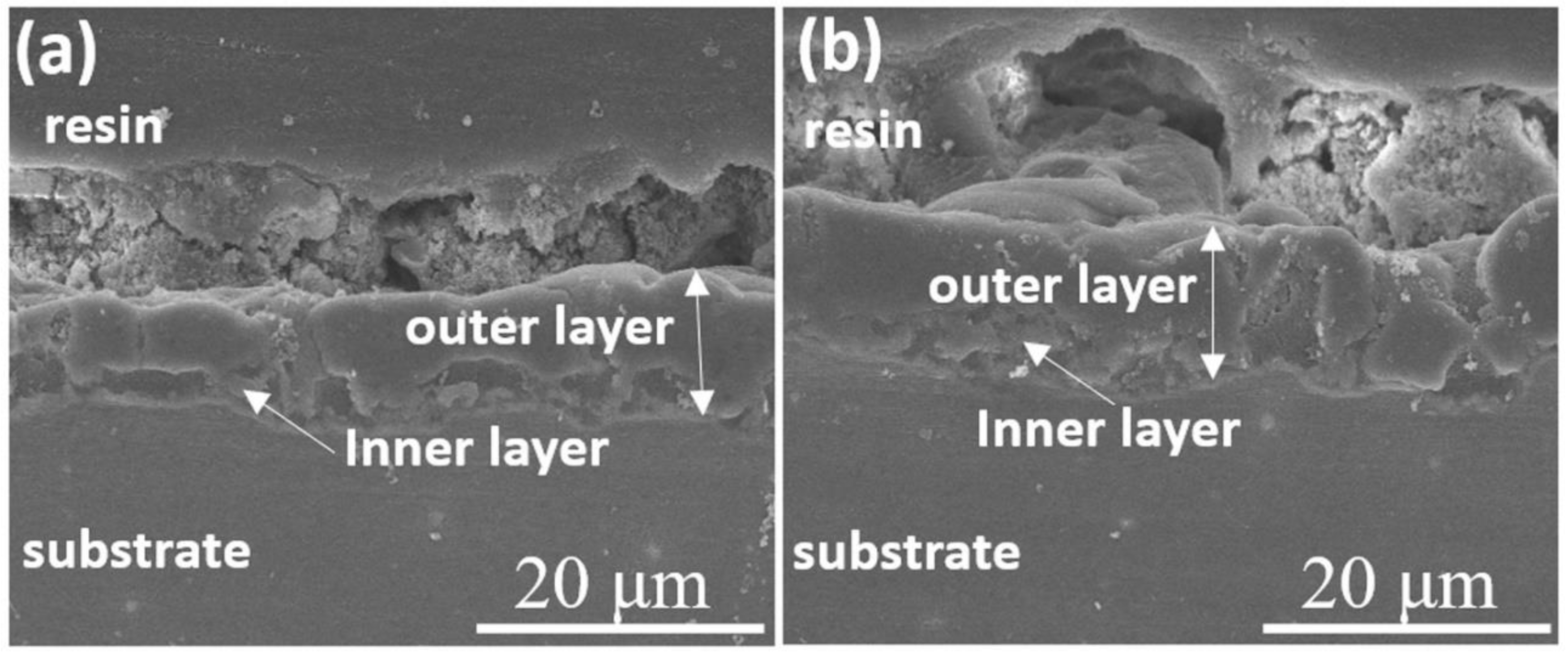 Metals 11 01182 g004