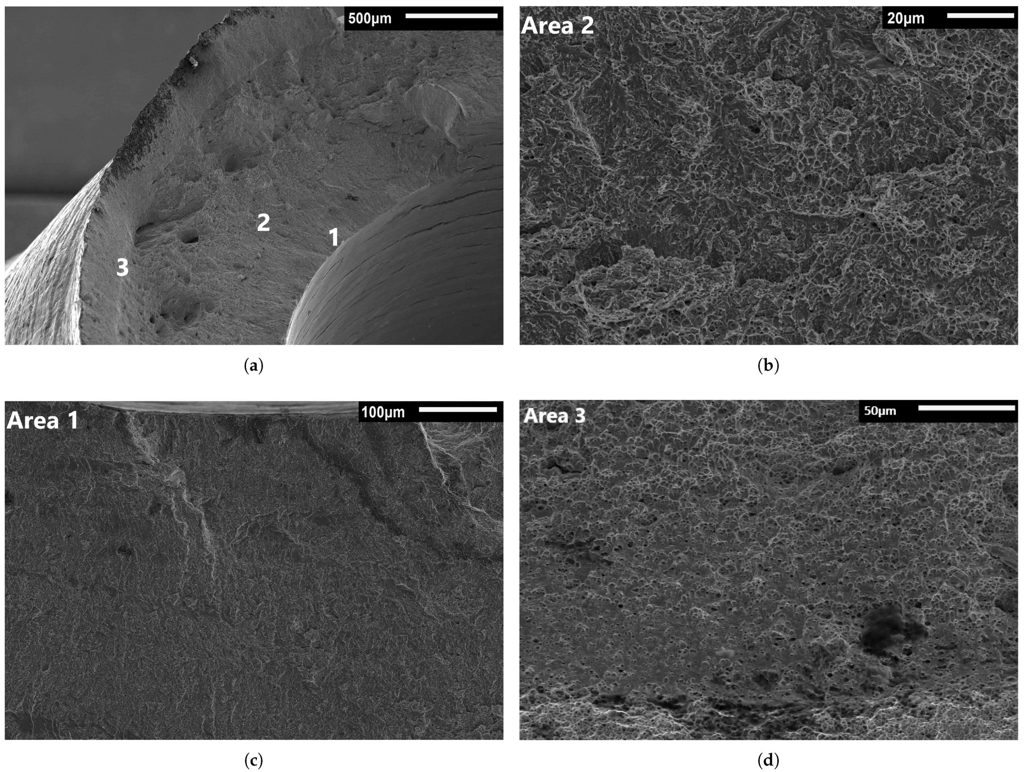 Metals 11 01242 g010