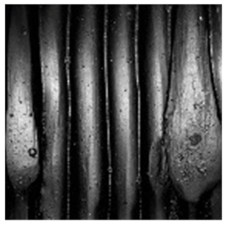 Metals 11 01256 i009