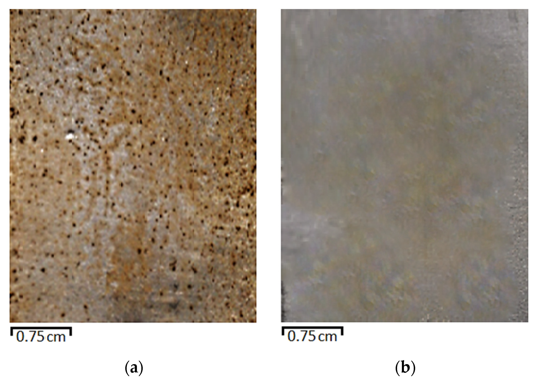 Metals 11 01269 g011