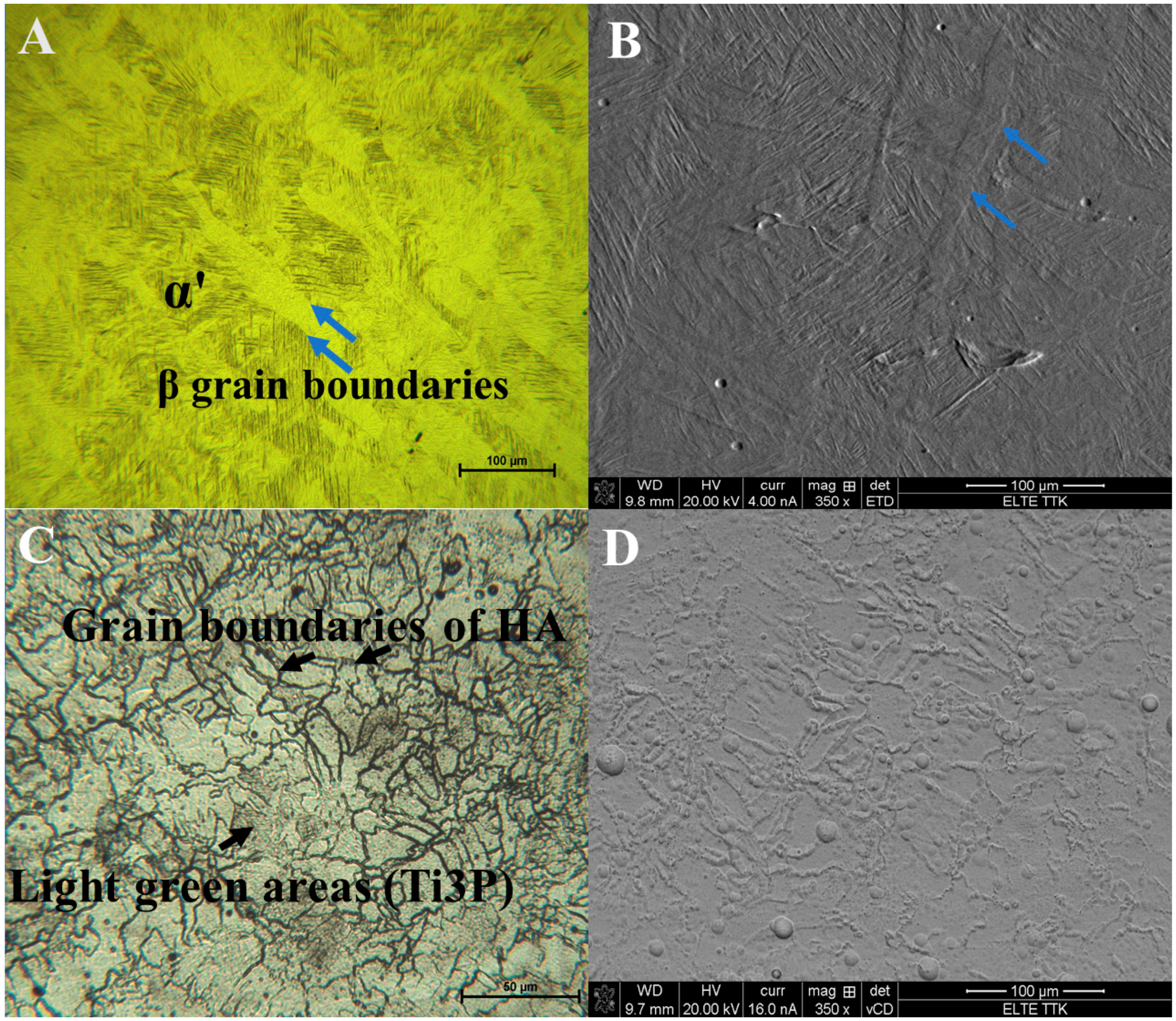 Metals 11 01295 g006