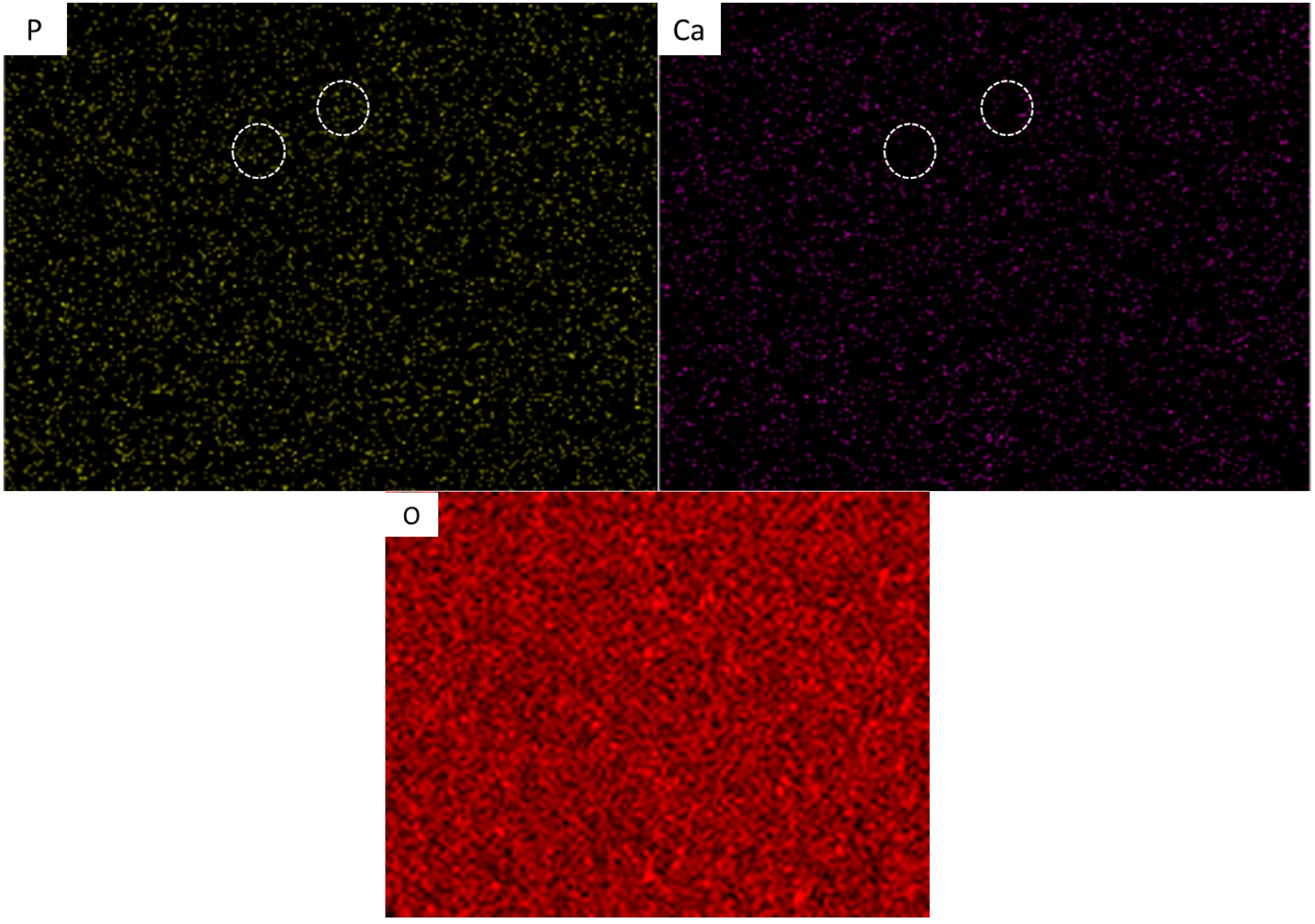 Metals 11 01295 g008b