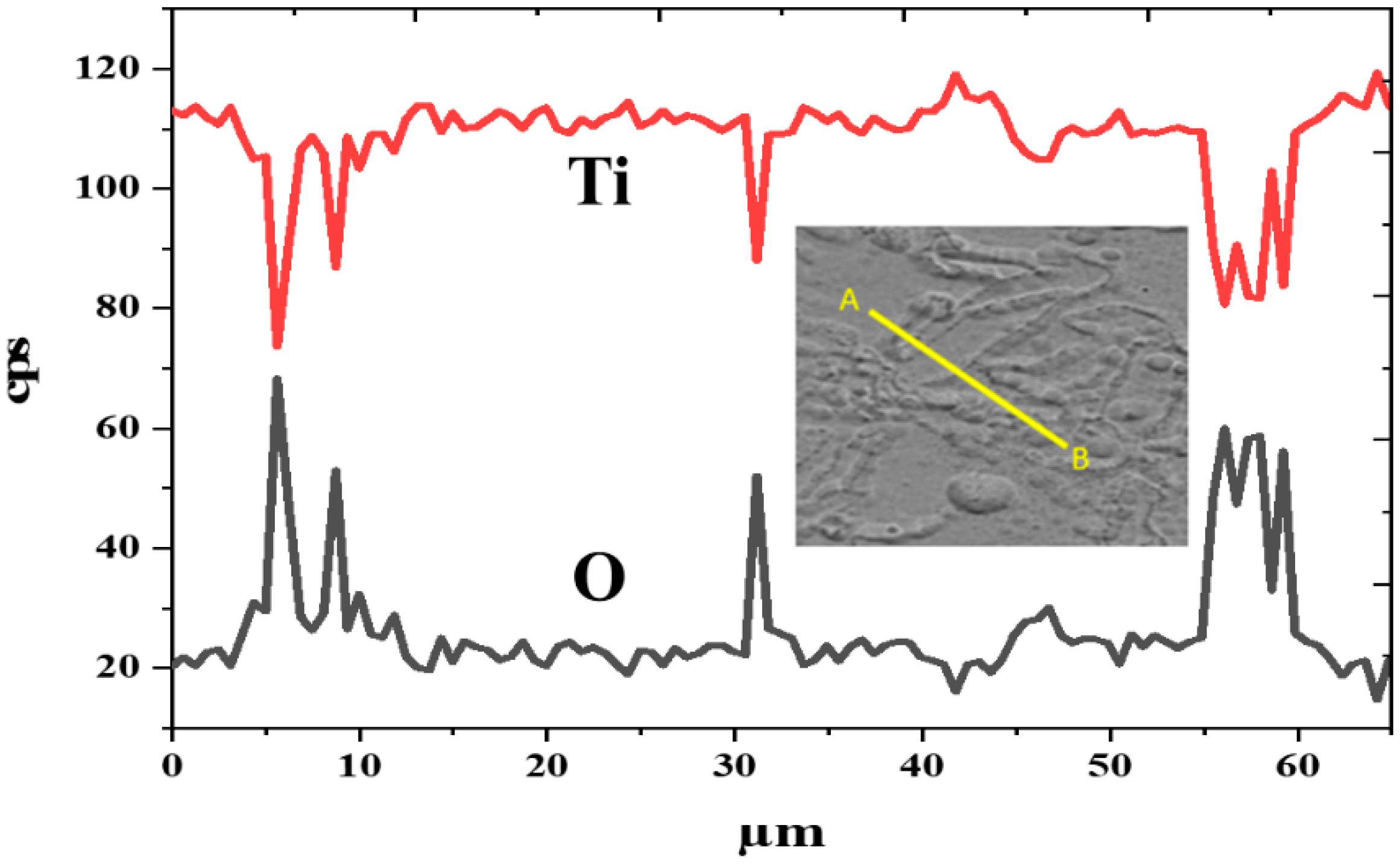 Metals 11 01295 g009