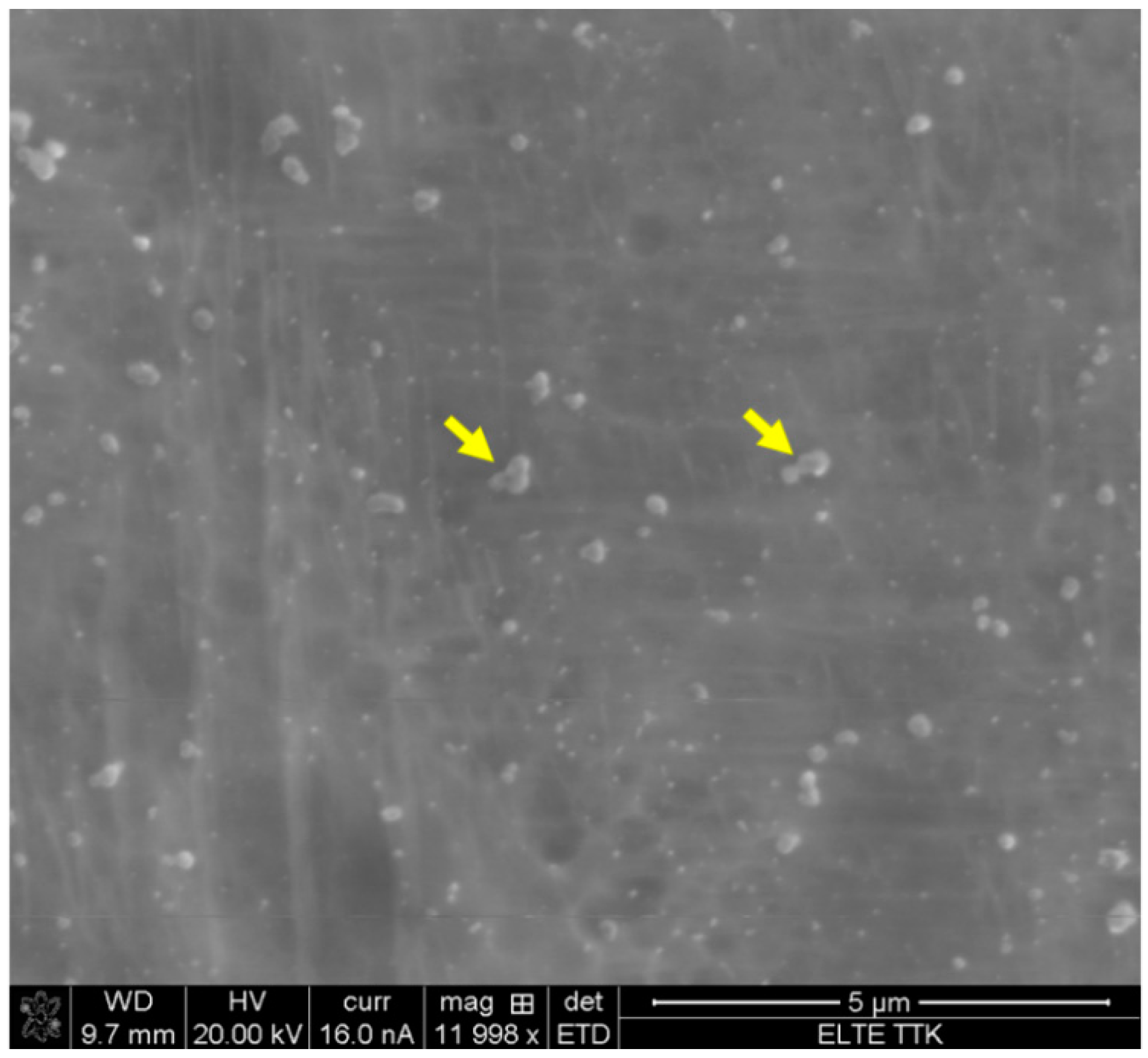 Metals 11 01295 g010