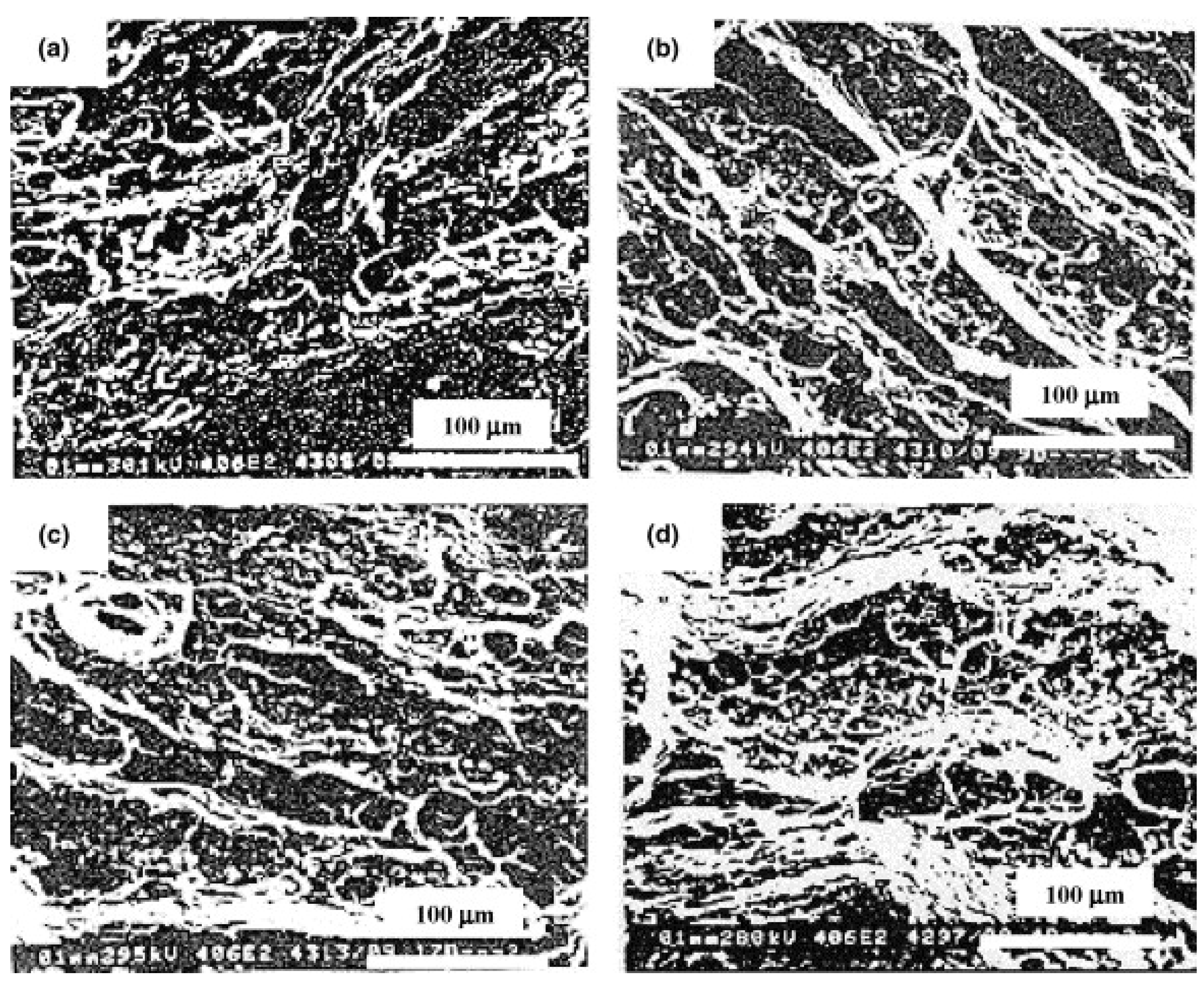 Metals 11 01303 g006