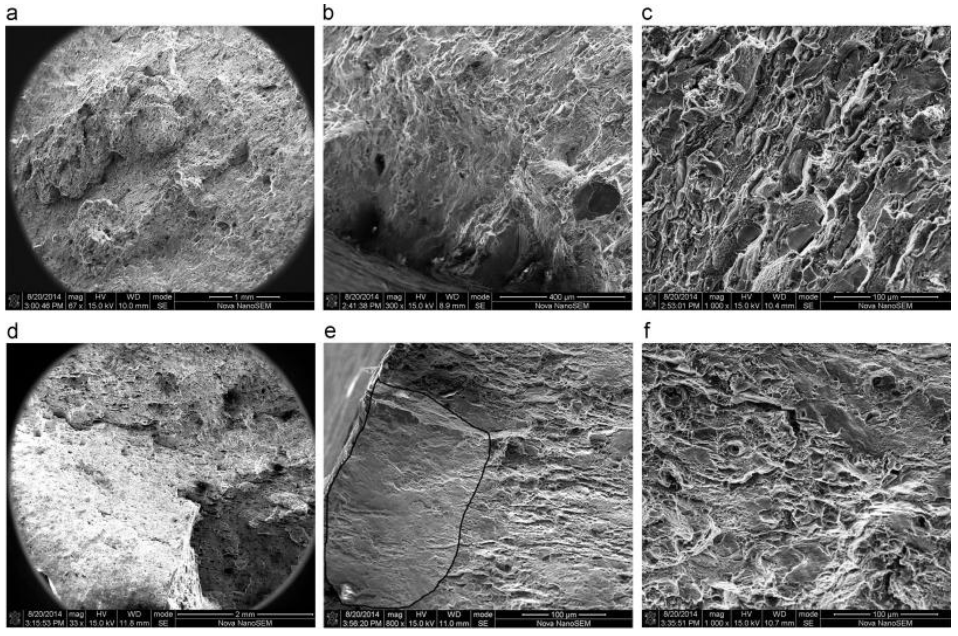 Metals 11 01303 g009