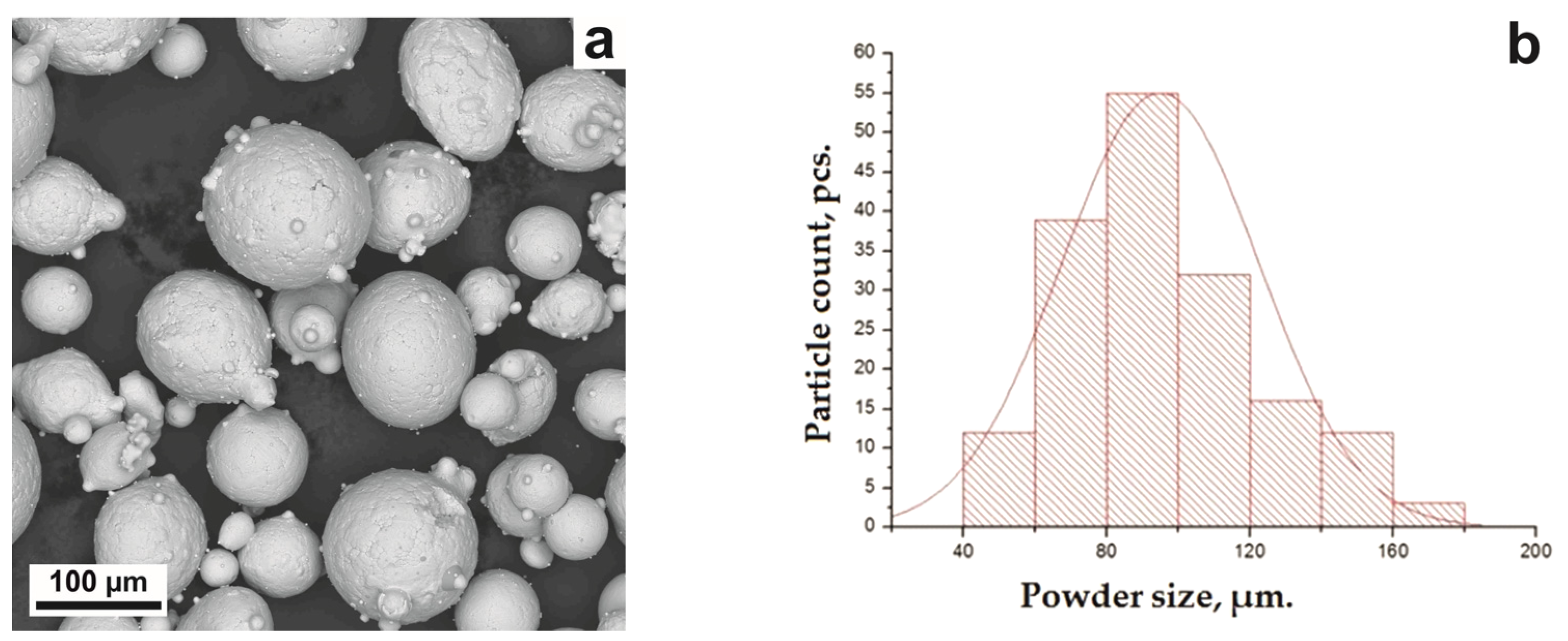 Metals 11 01305 g001