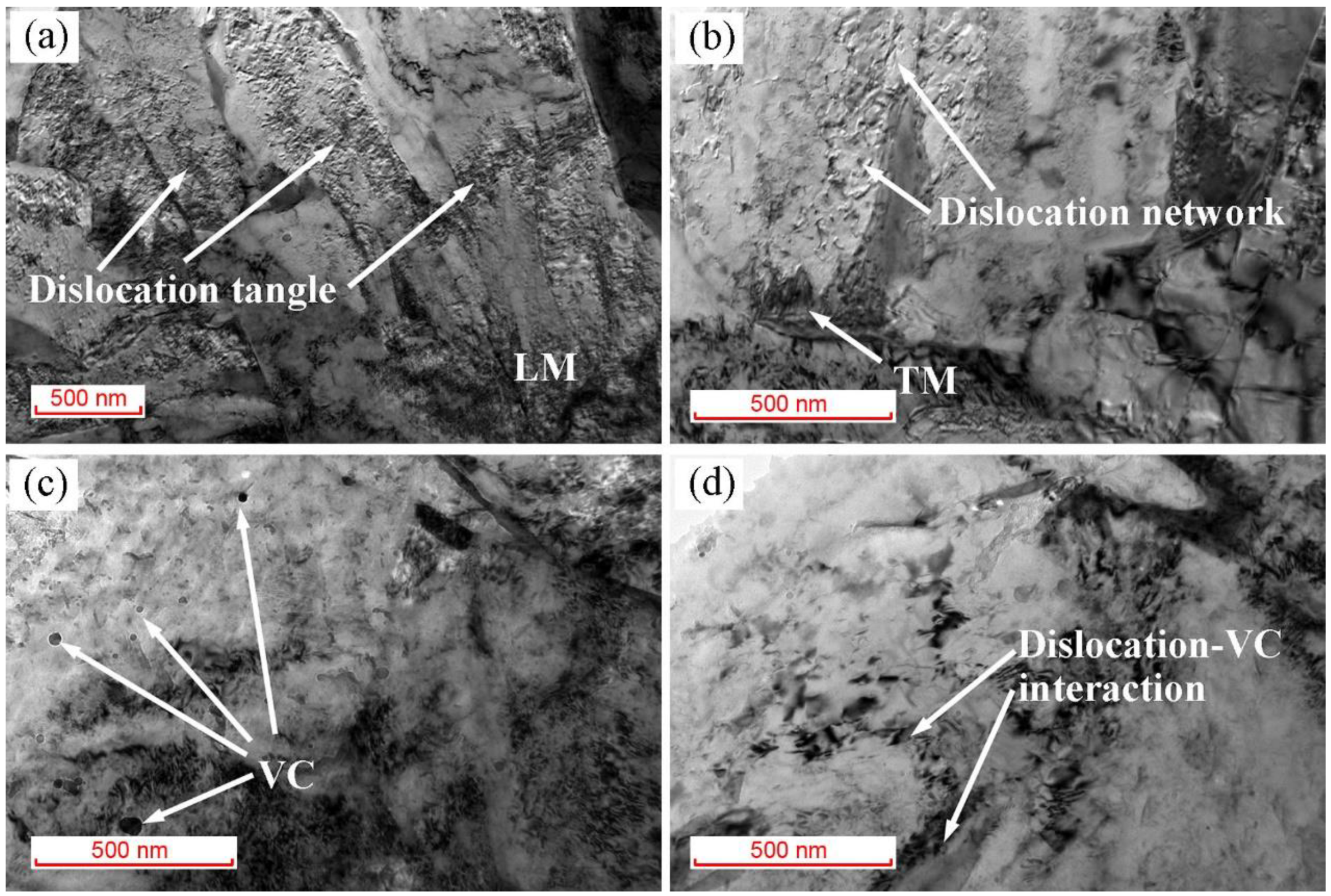 Metals 11 01306 g011