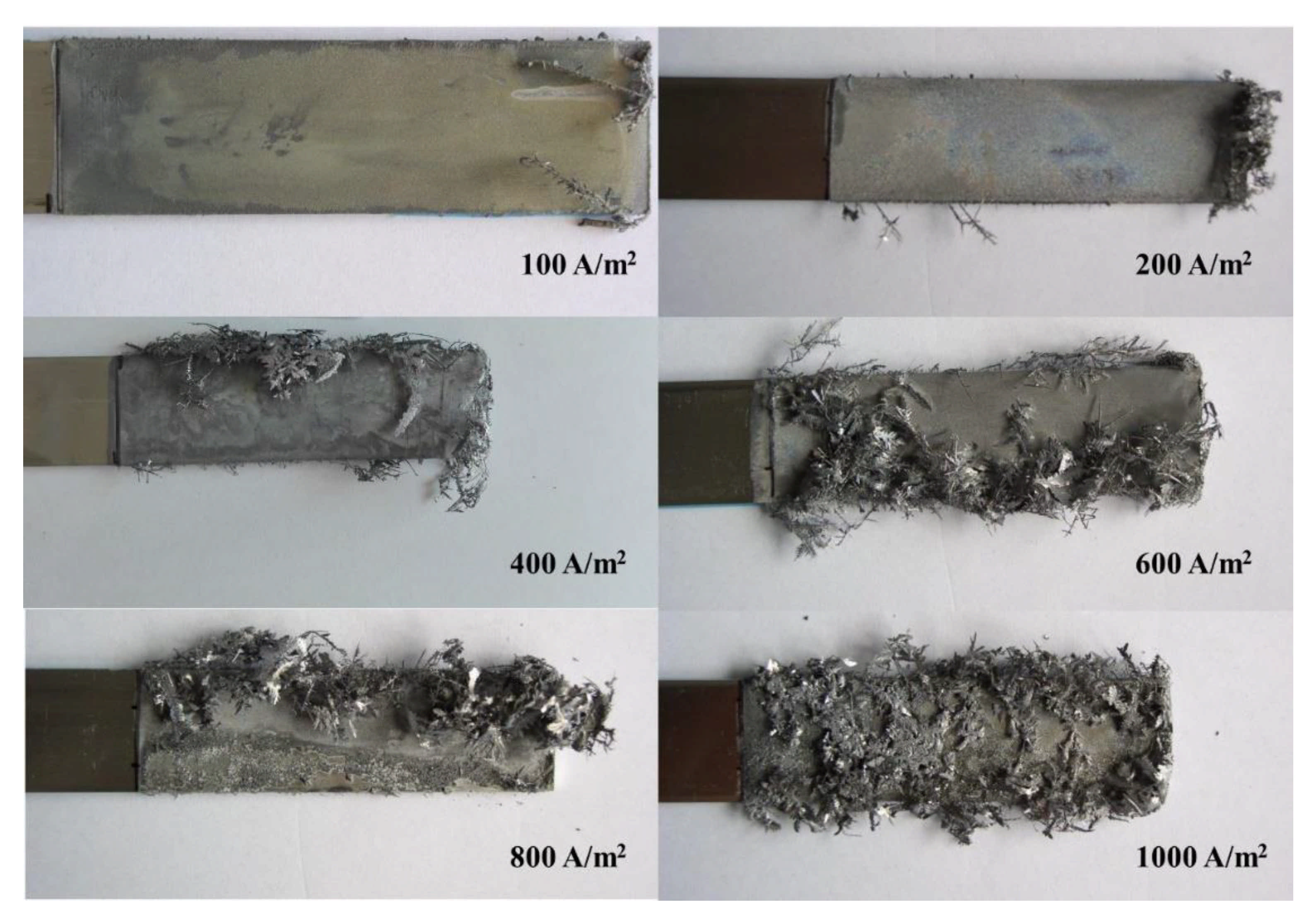 Metals 11 01330 g003