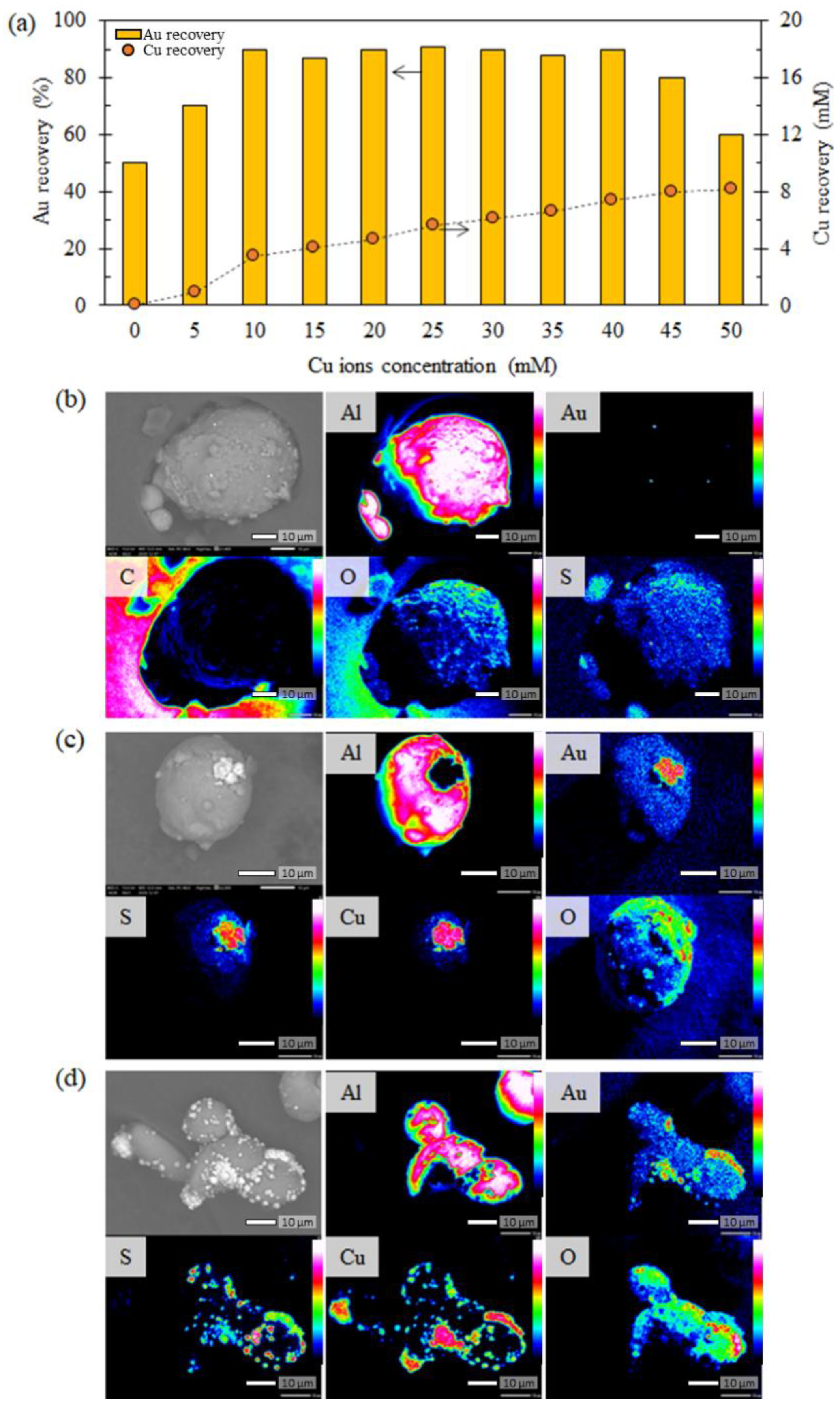 Metals 11 01352 g002