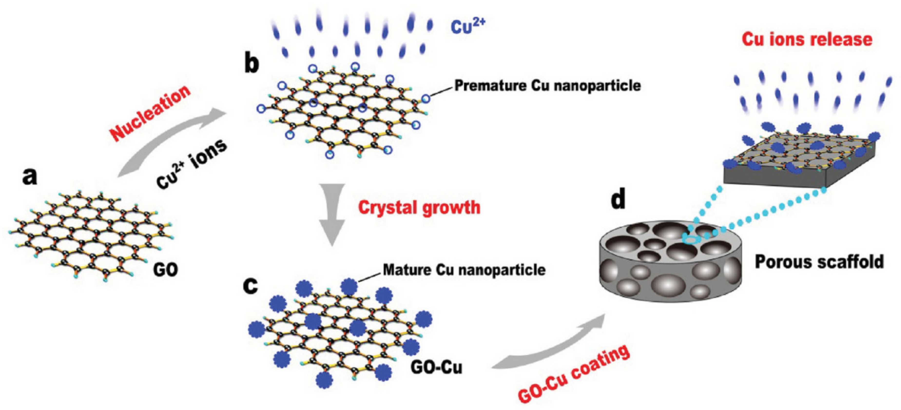 Metals 11 01356 g001