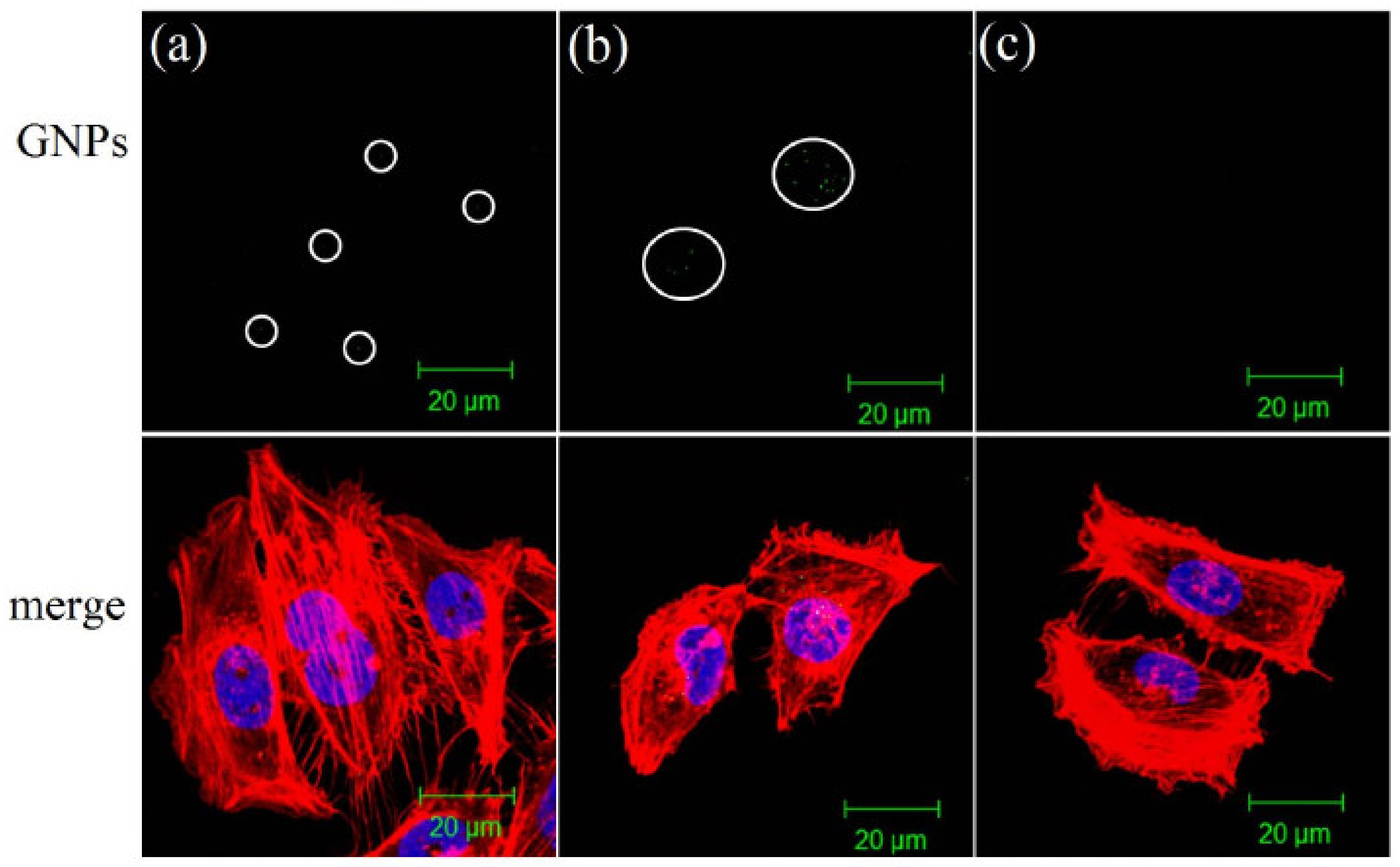 Metals 11 01356 g003