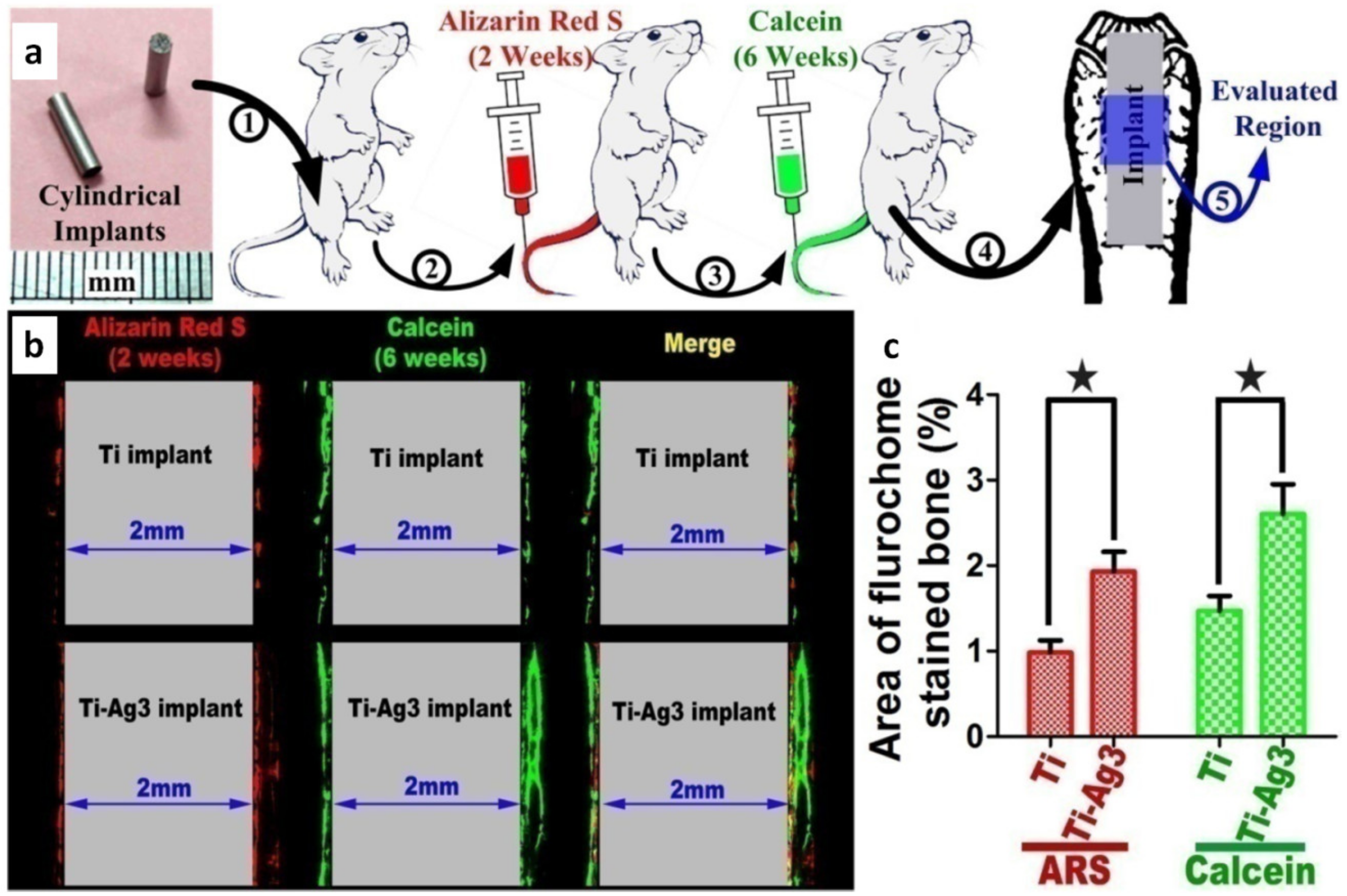 Metals 11 01356 g007