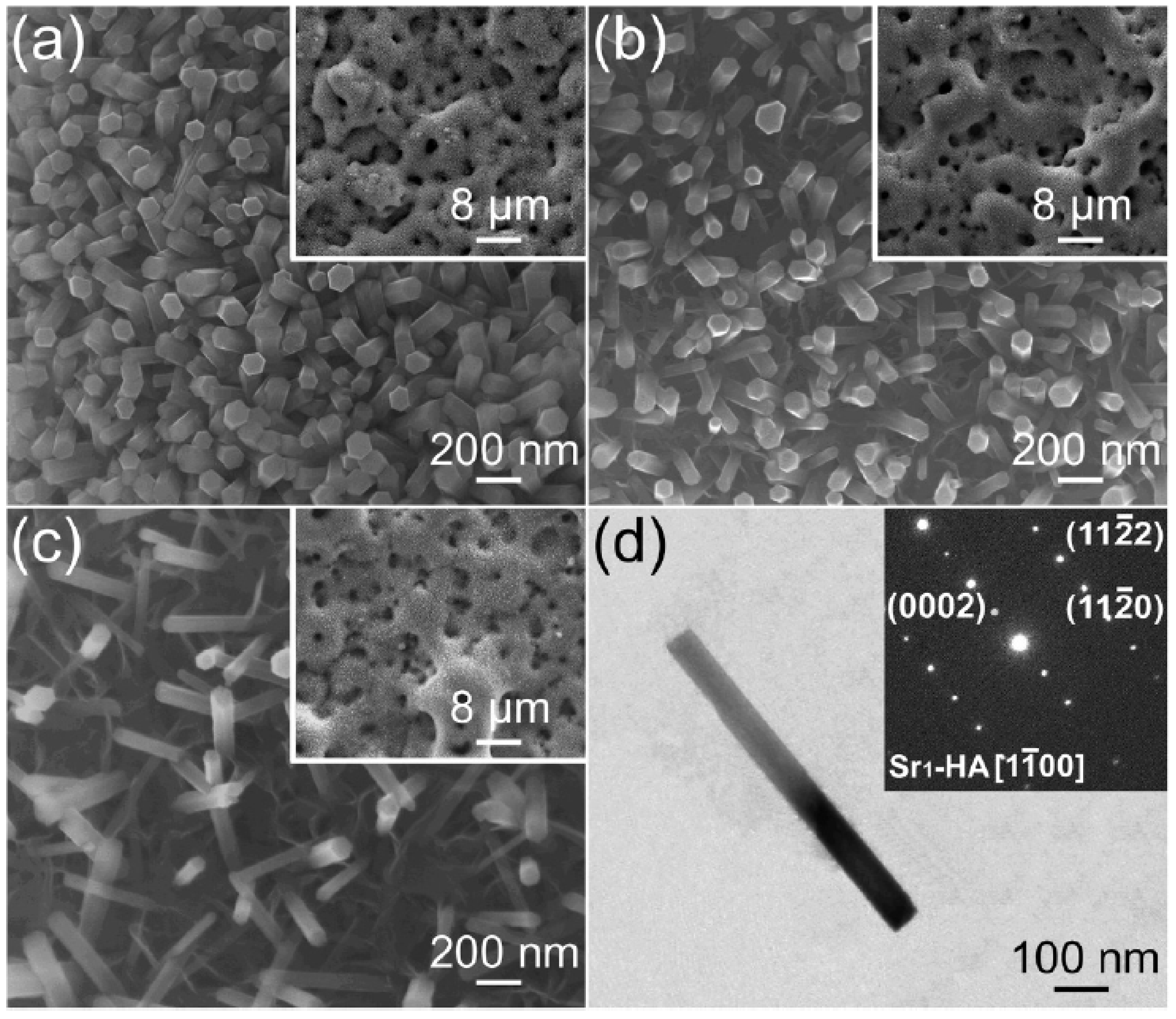 Metals 11 01356 g009