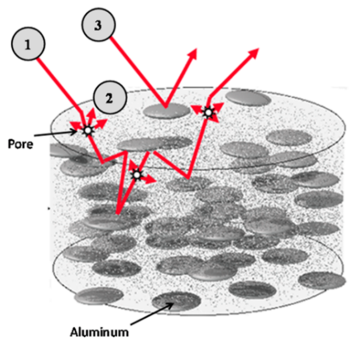 Metals 11 01377 g004