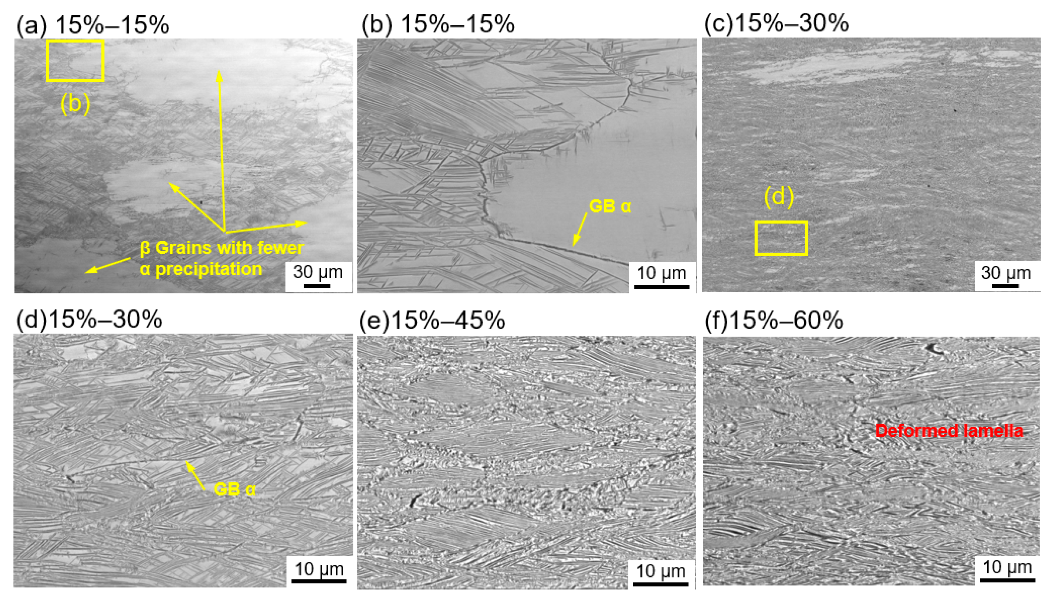 Metals 11 01405 g004