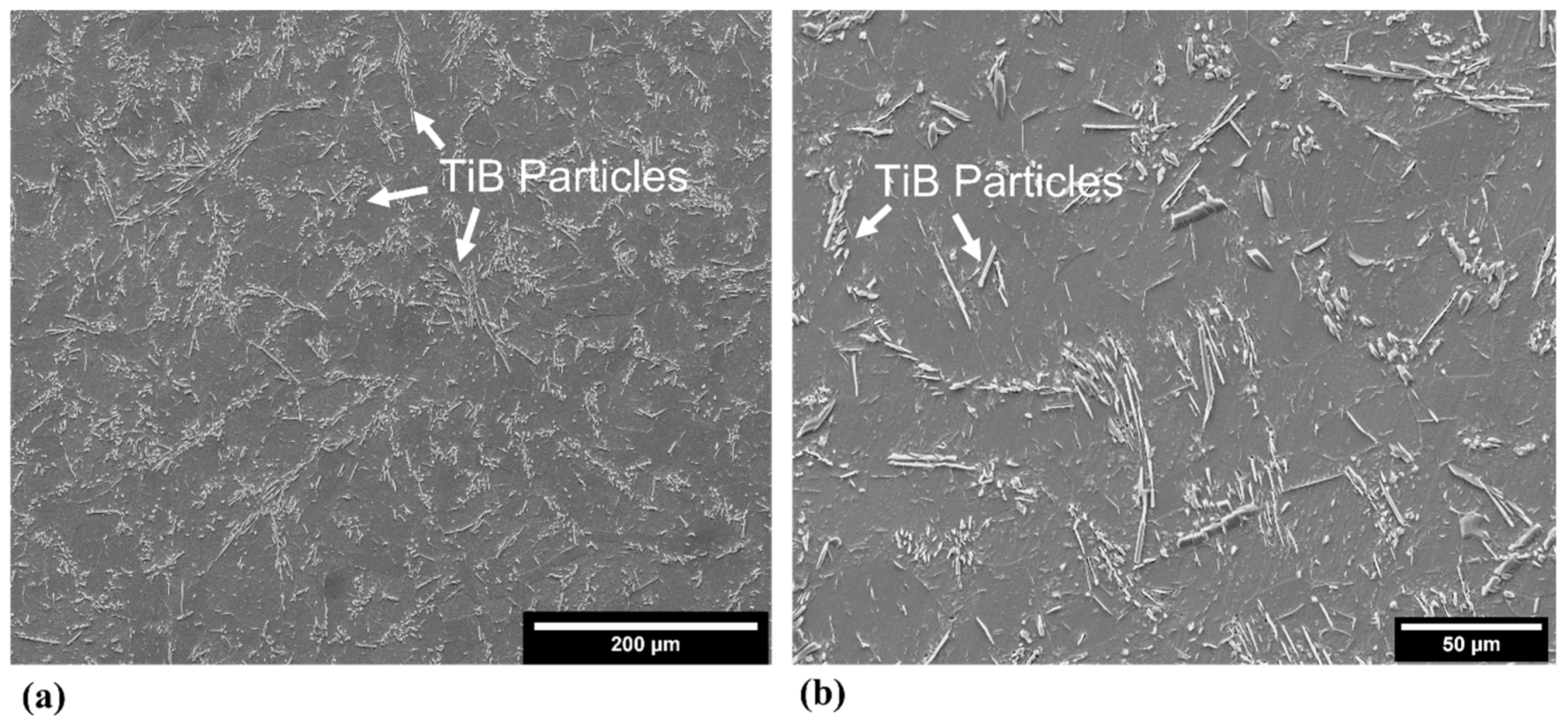 Metals 11 01423 g003