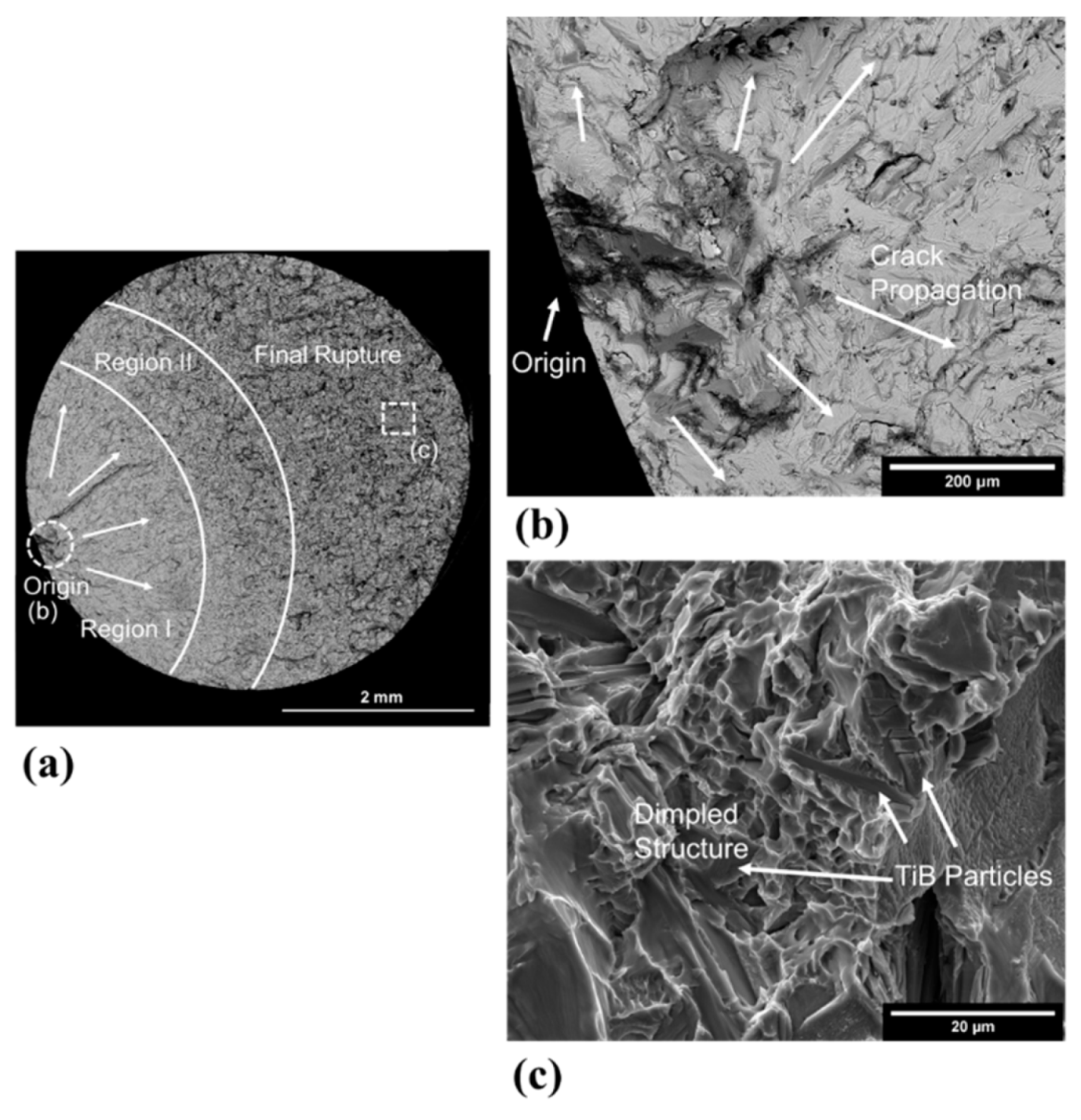 Metals 11 01423 g013