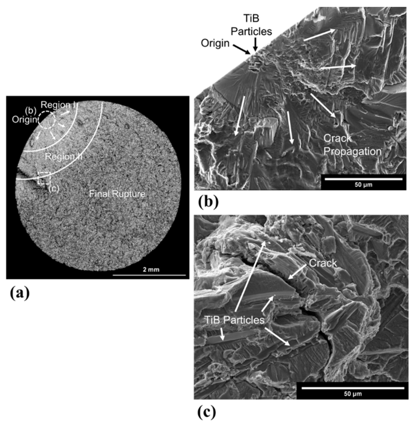 Metals 11 01423 g014