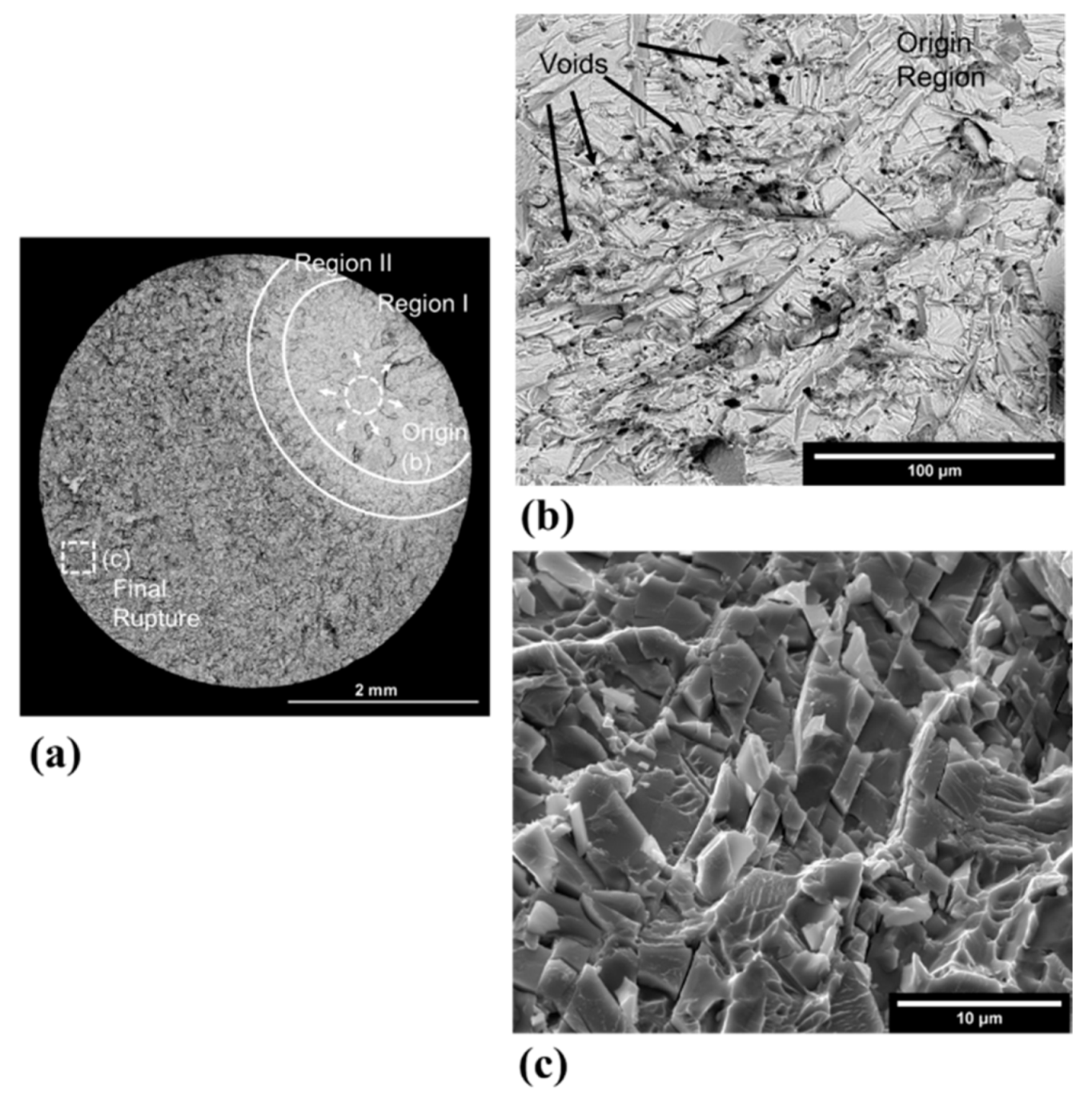 Metals 11 01423 g015