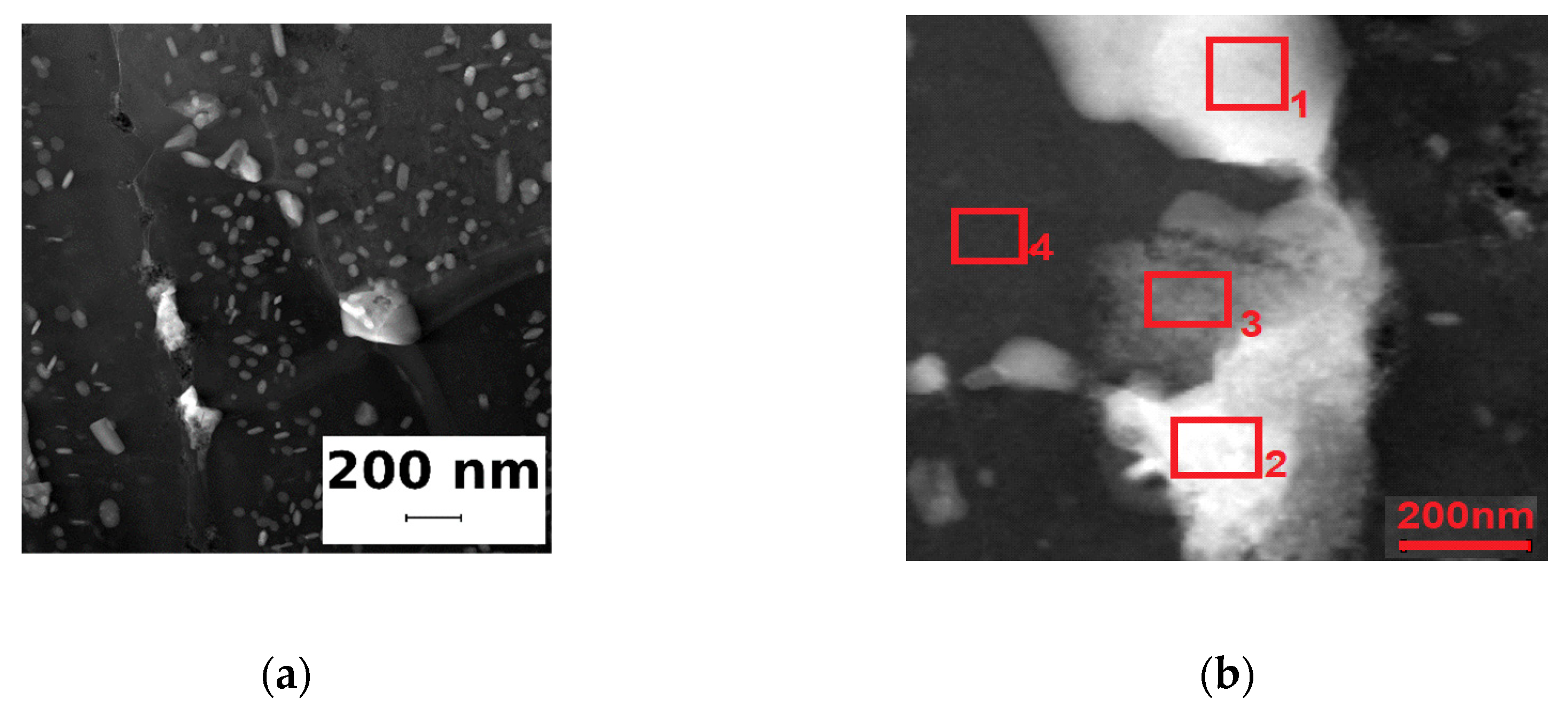 Metals 11 01433 g007