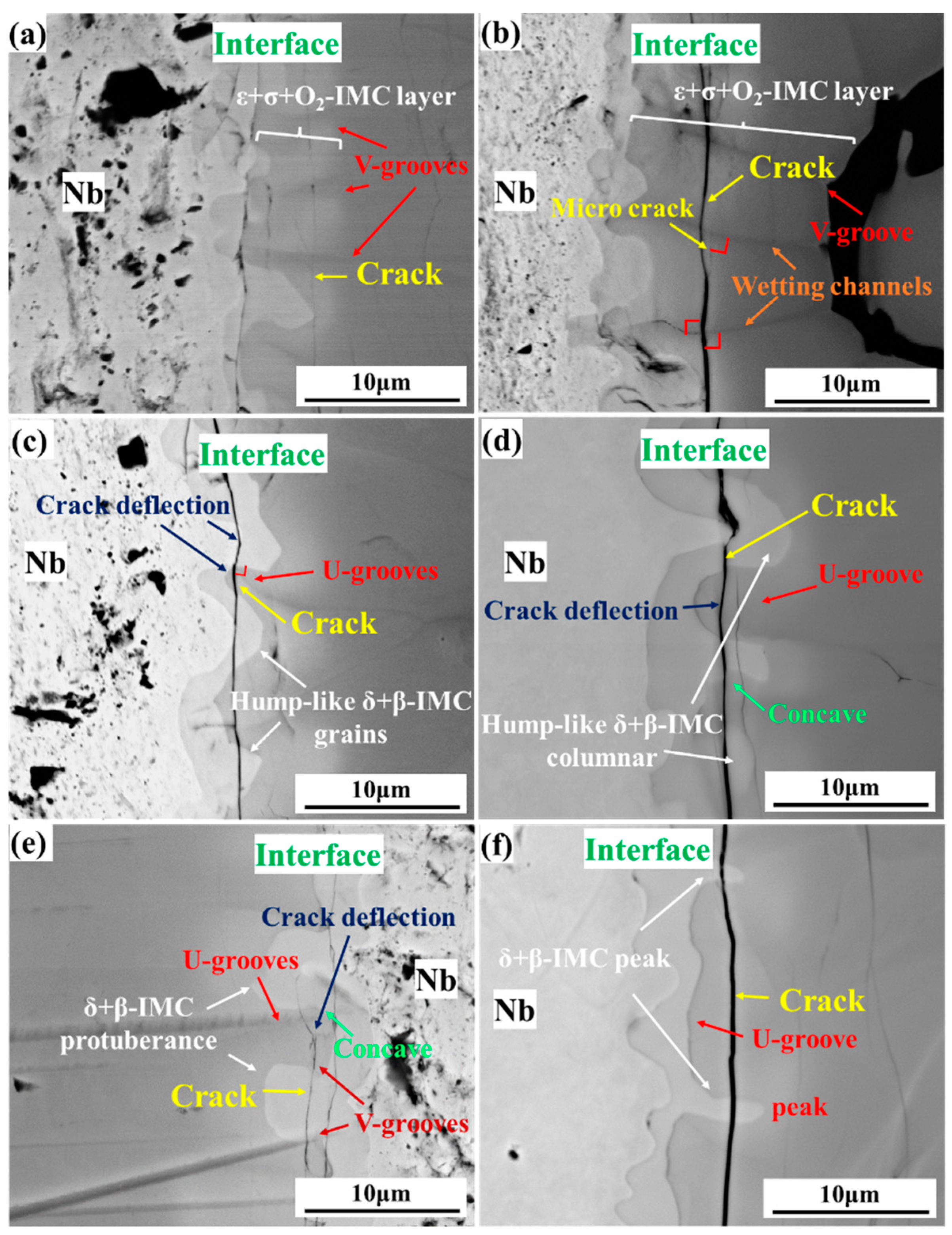 Metals 11 01465 g002