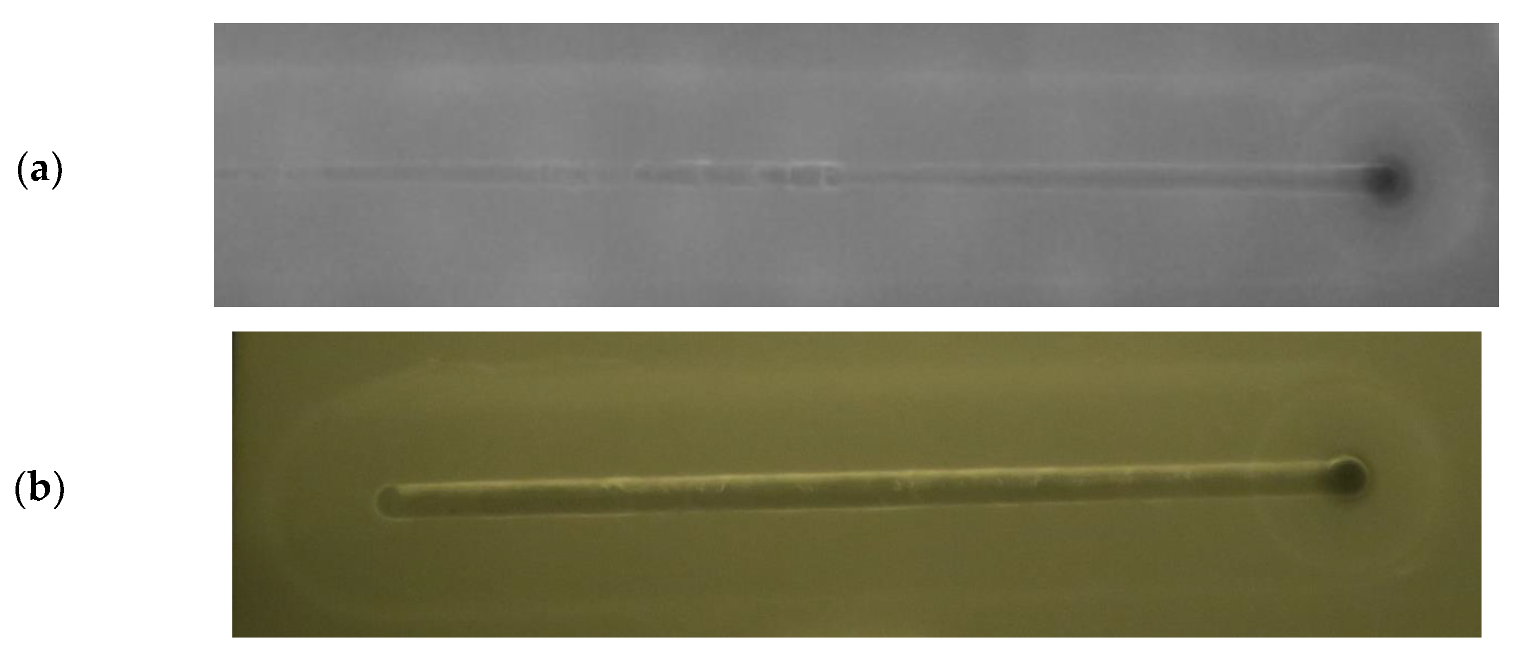 Metals 11 01474 g008