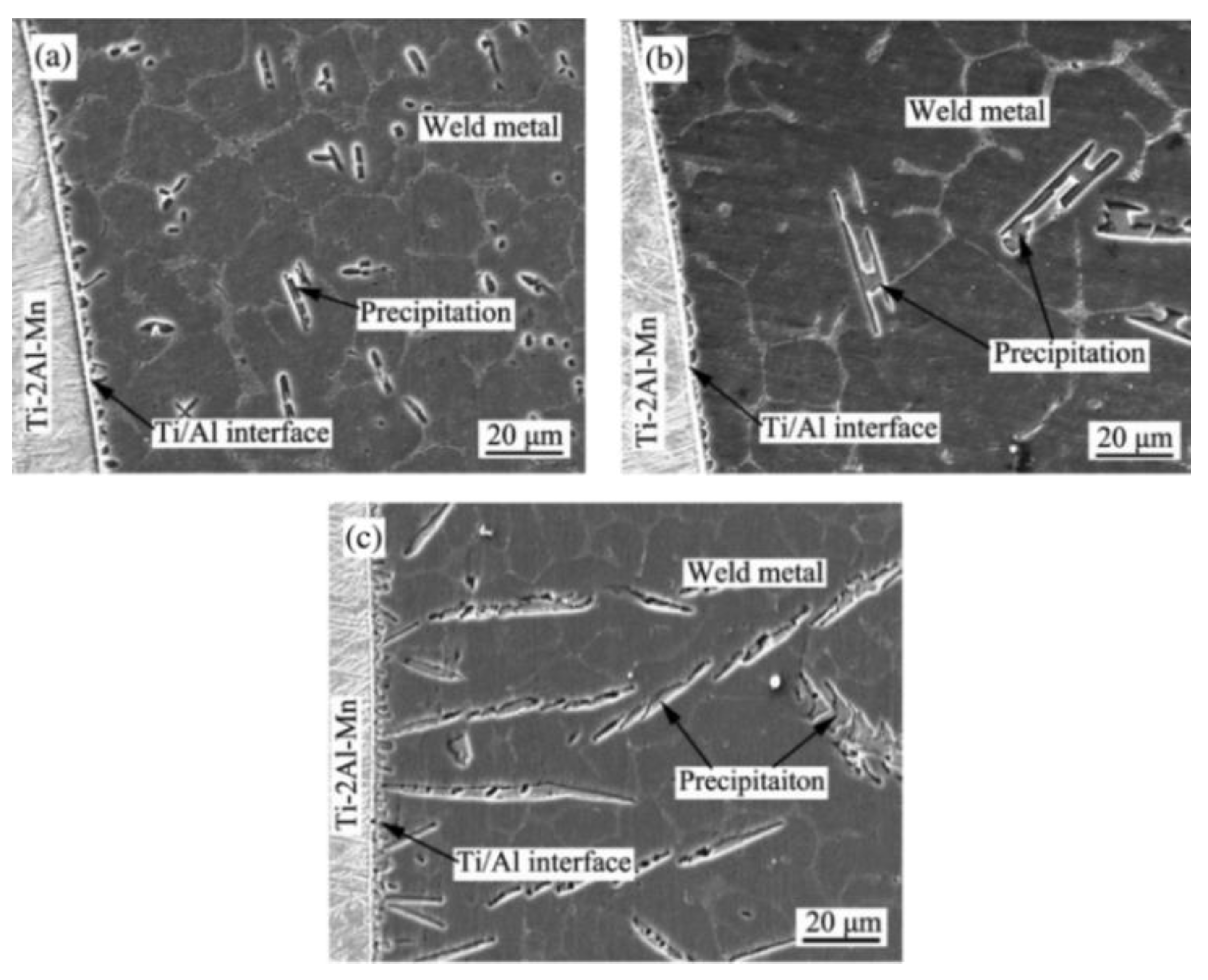 Metals 11 01486 g010 Metals 11 01486 g010