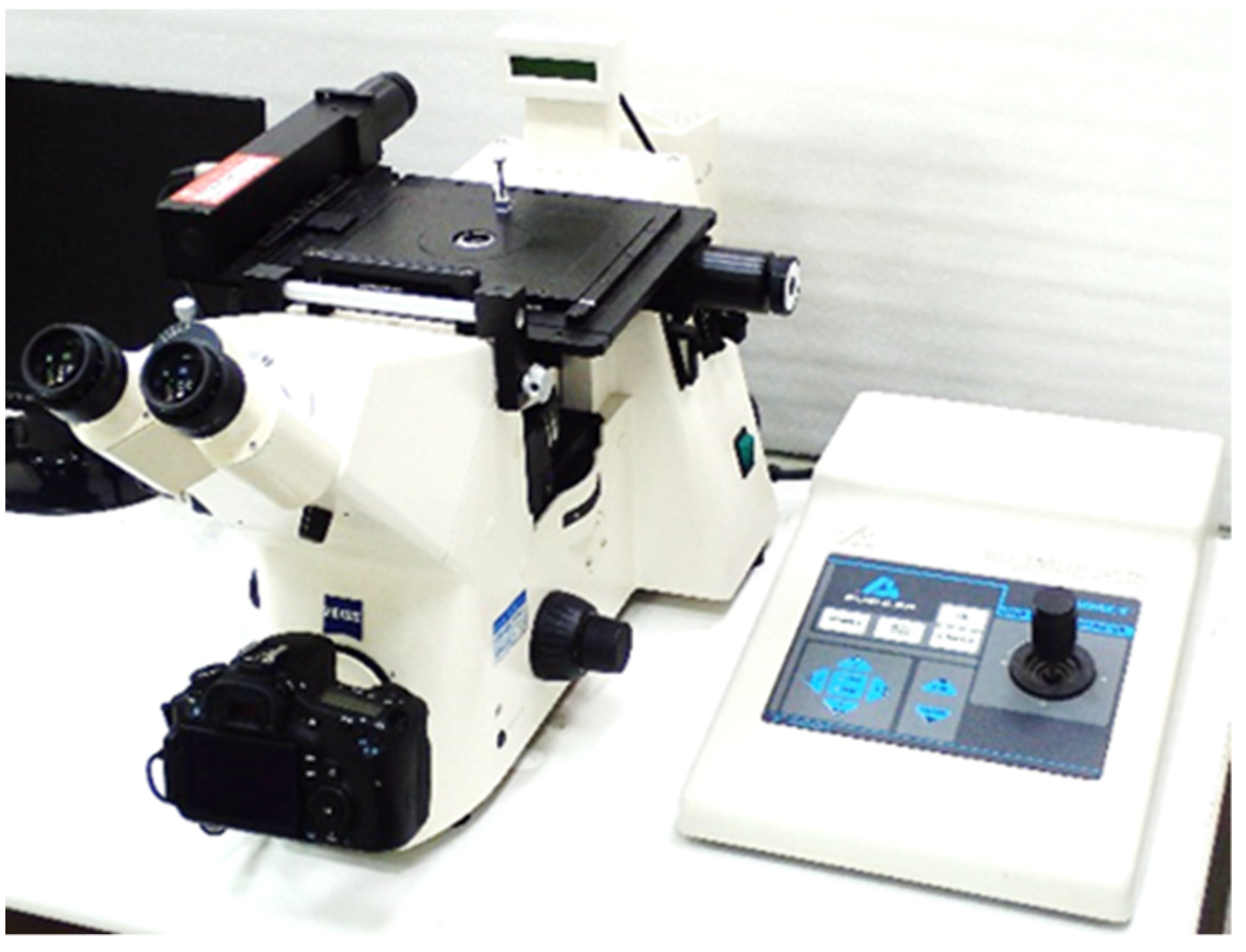 Metals 11 01547 g002