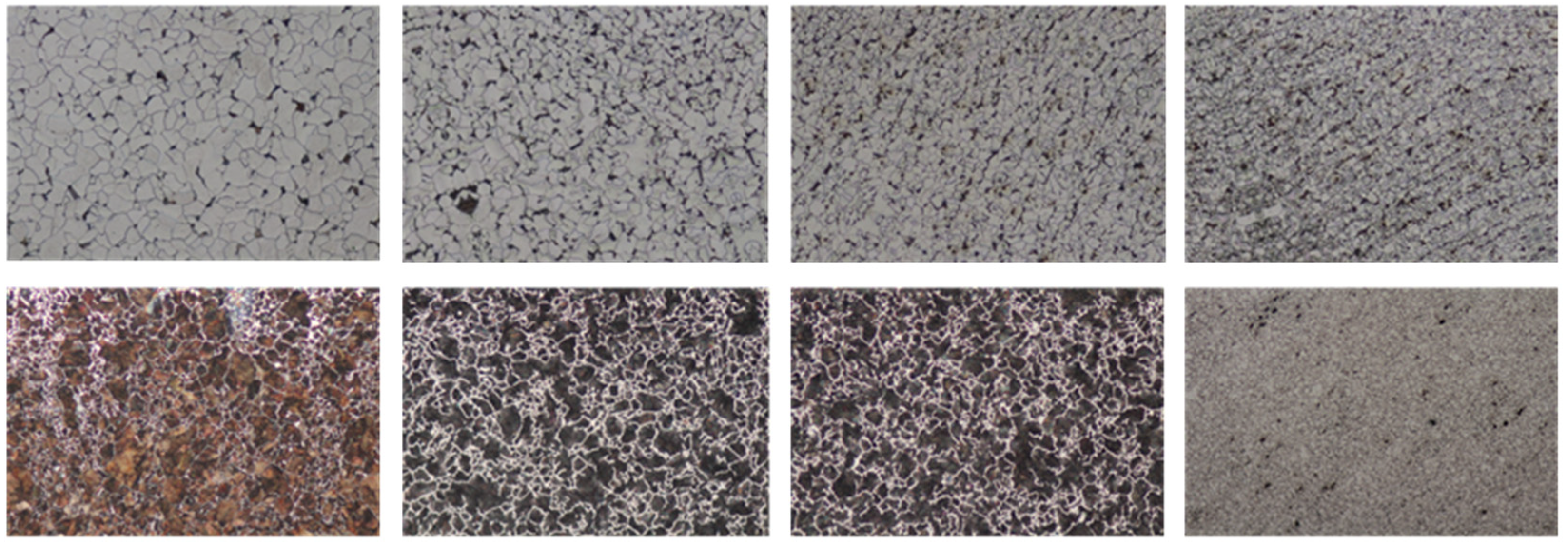 Metals 11 01547 g003