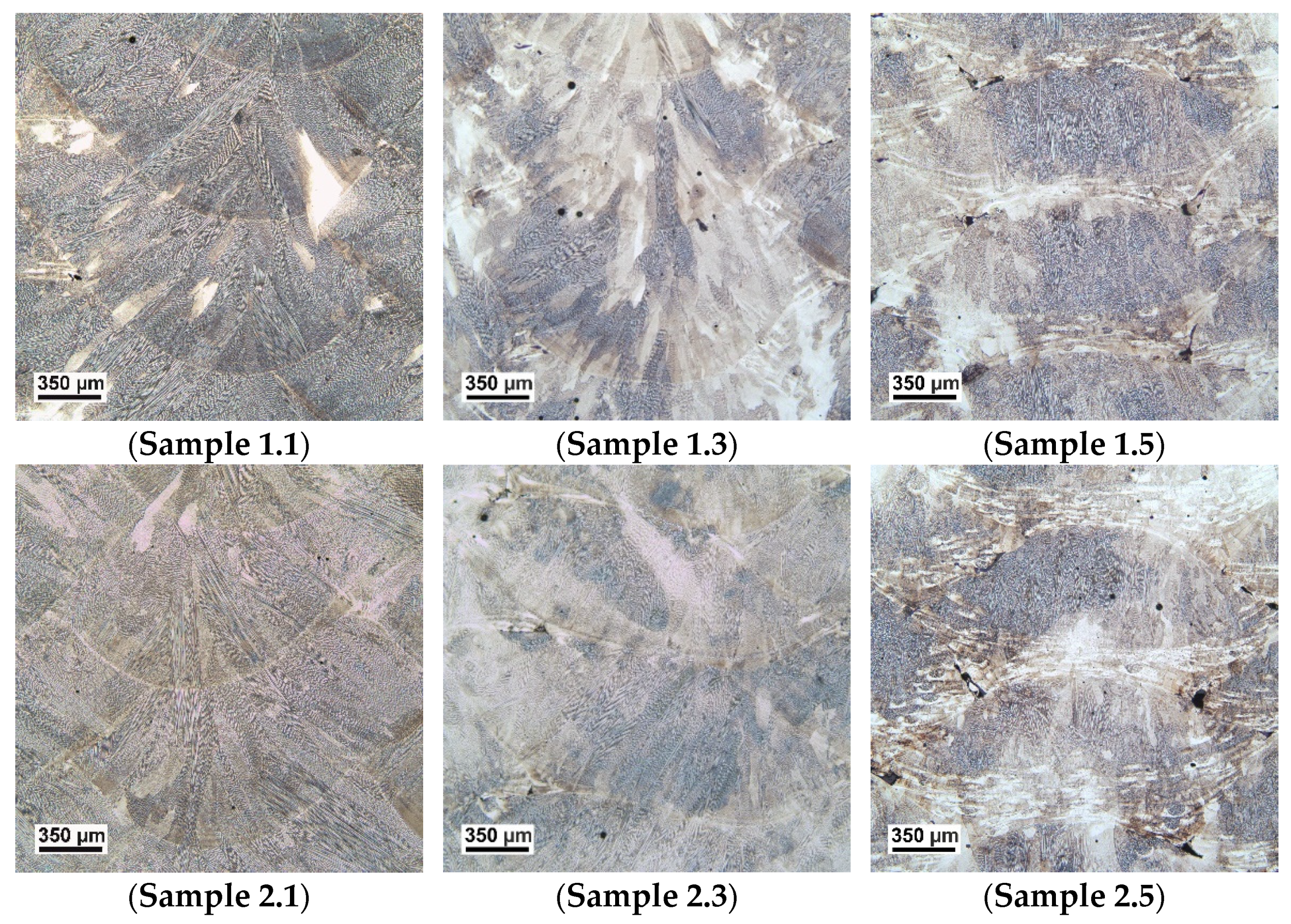 Metals 11 01550 g006