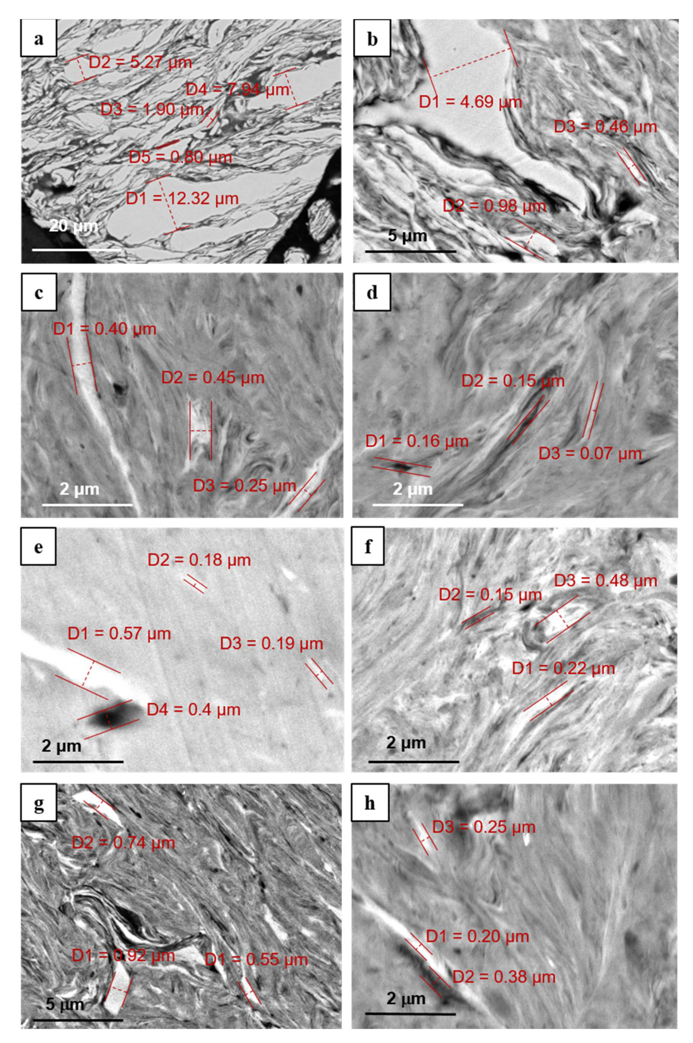 Metals 11 01557 g002