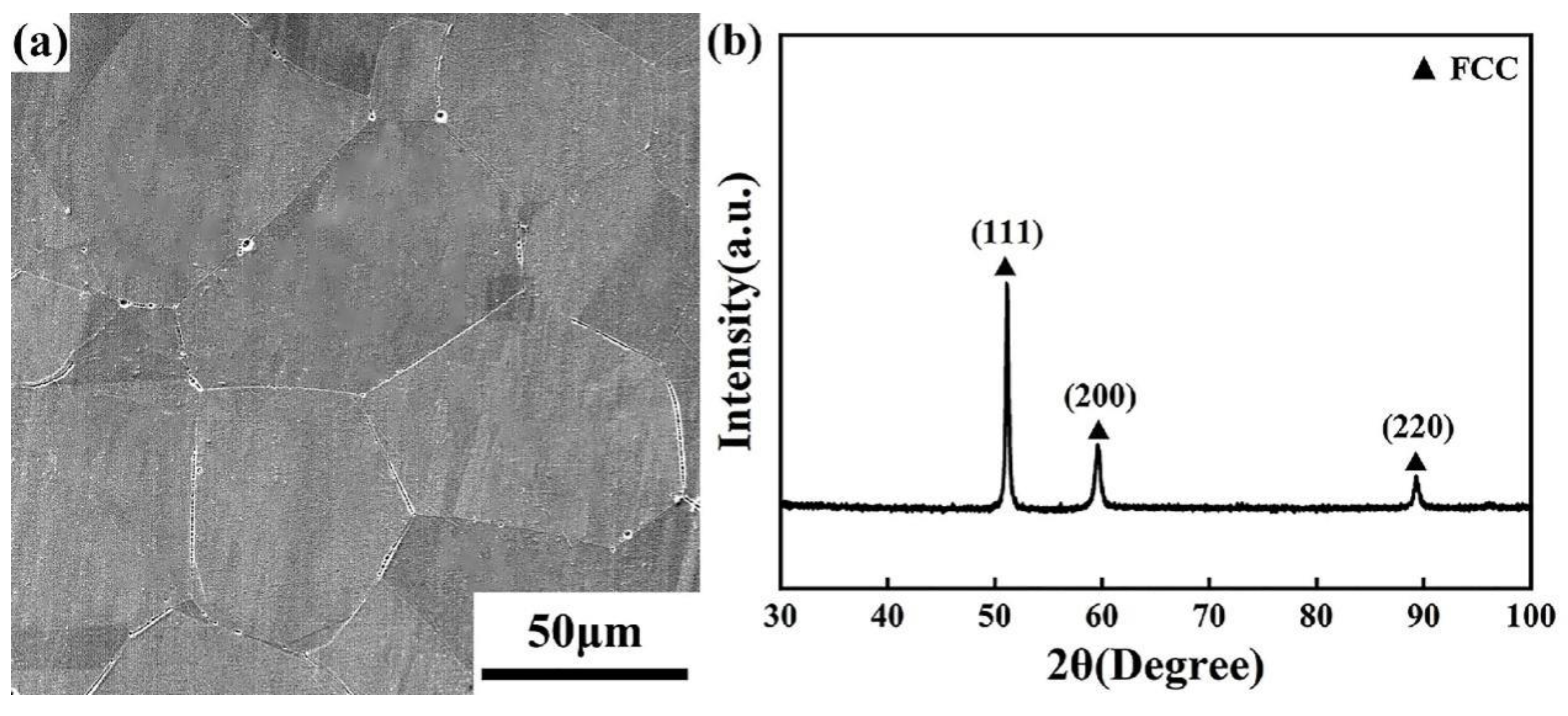 Metals 11 01561 g001