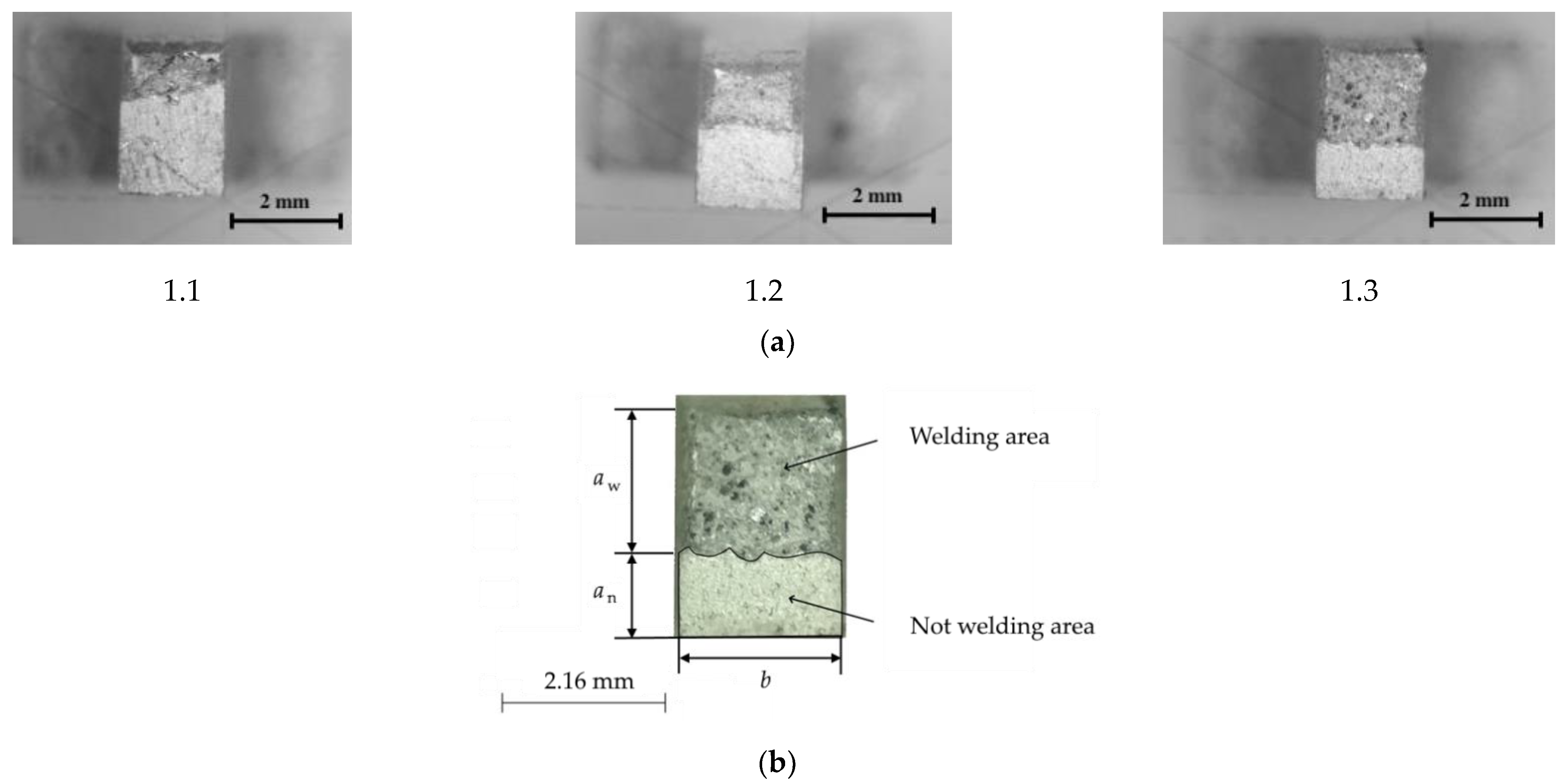 Metals 11 01564 g005