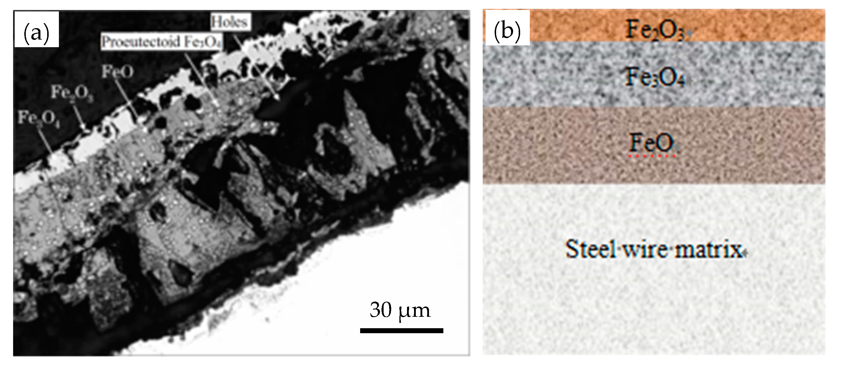 Metals 11 01590 g007