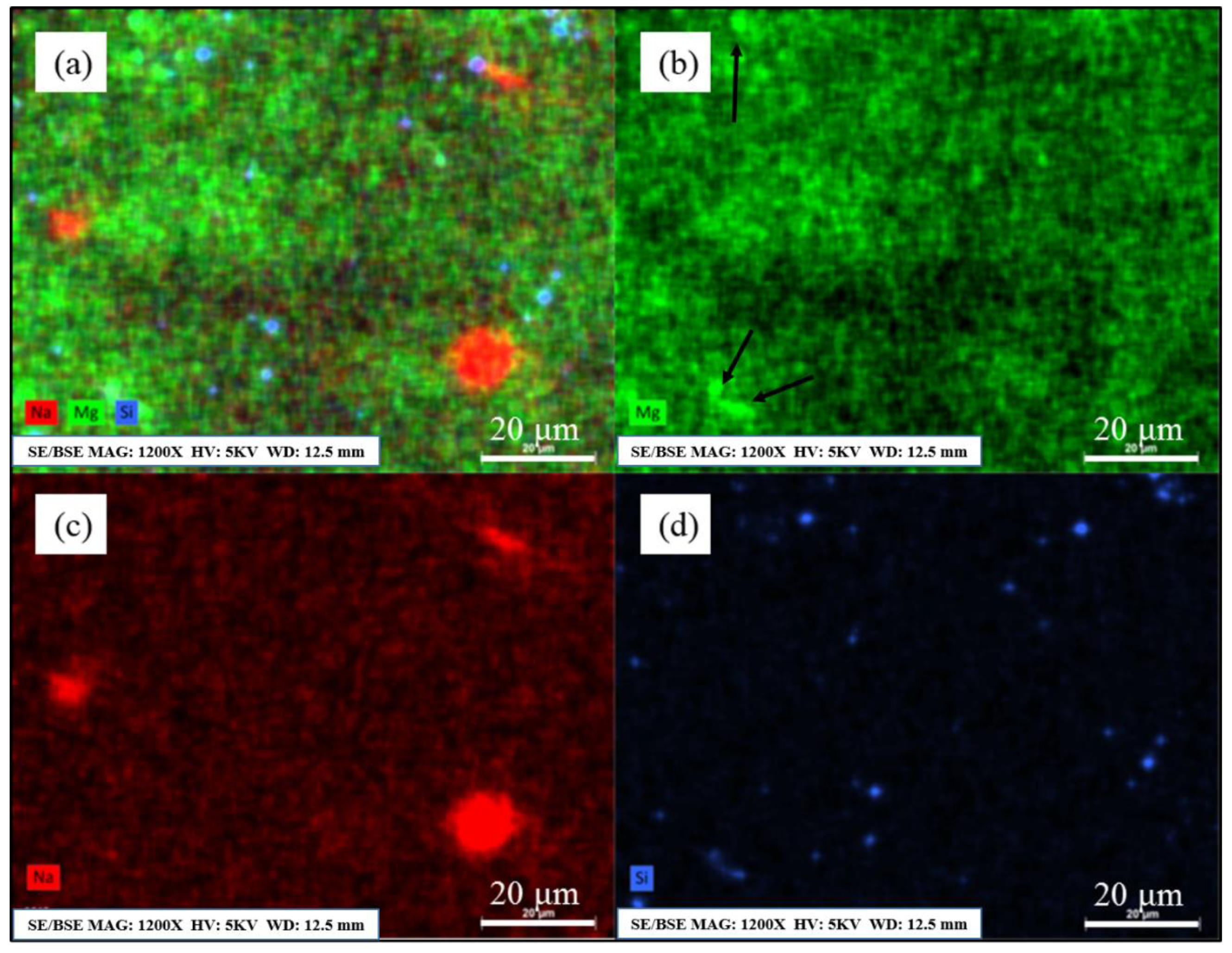 Metals 11 01591 g004